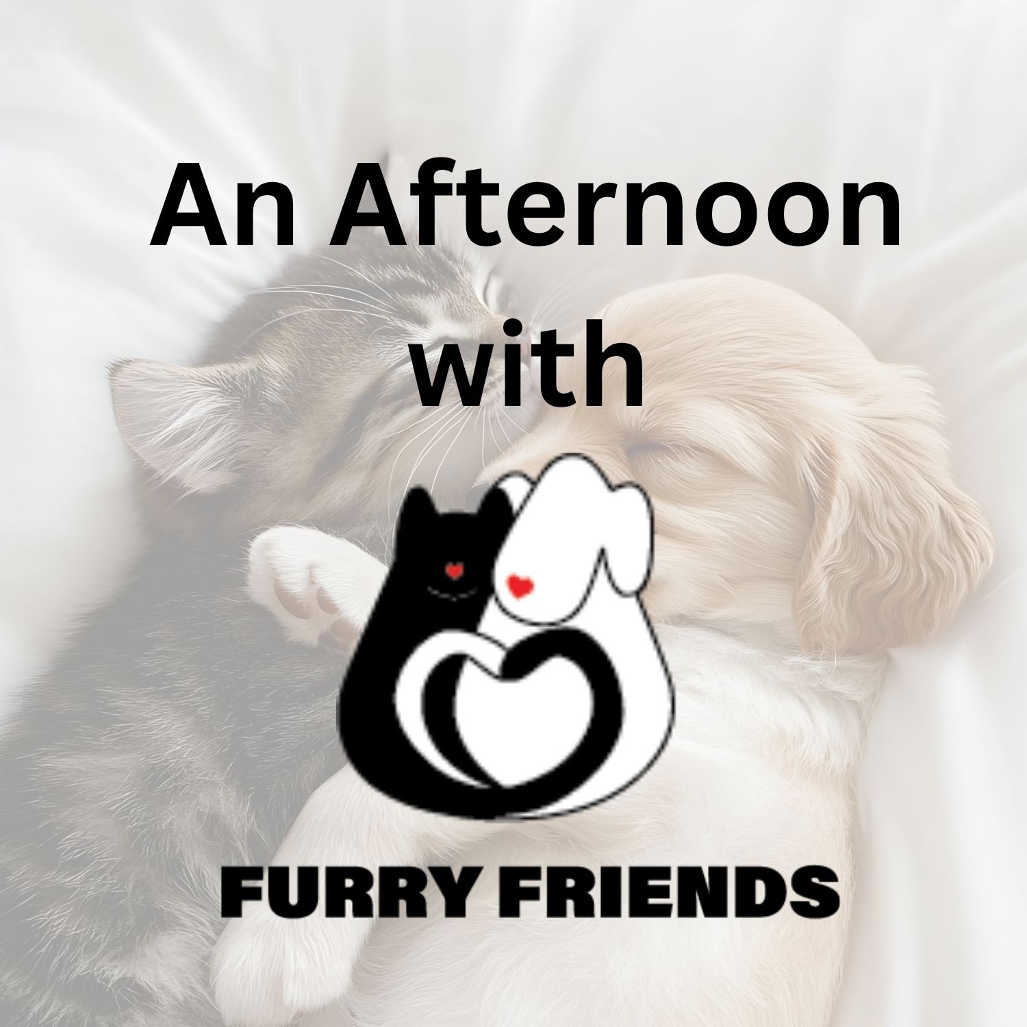 An Afternoon with Furry Friends