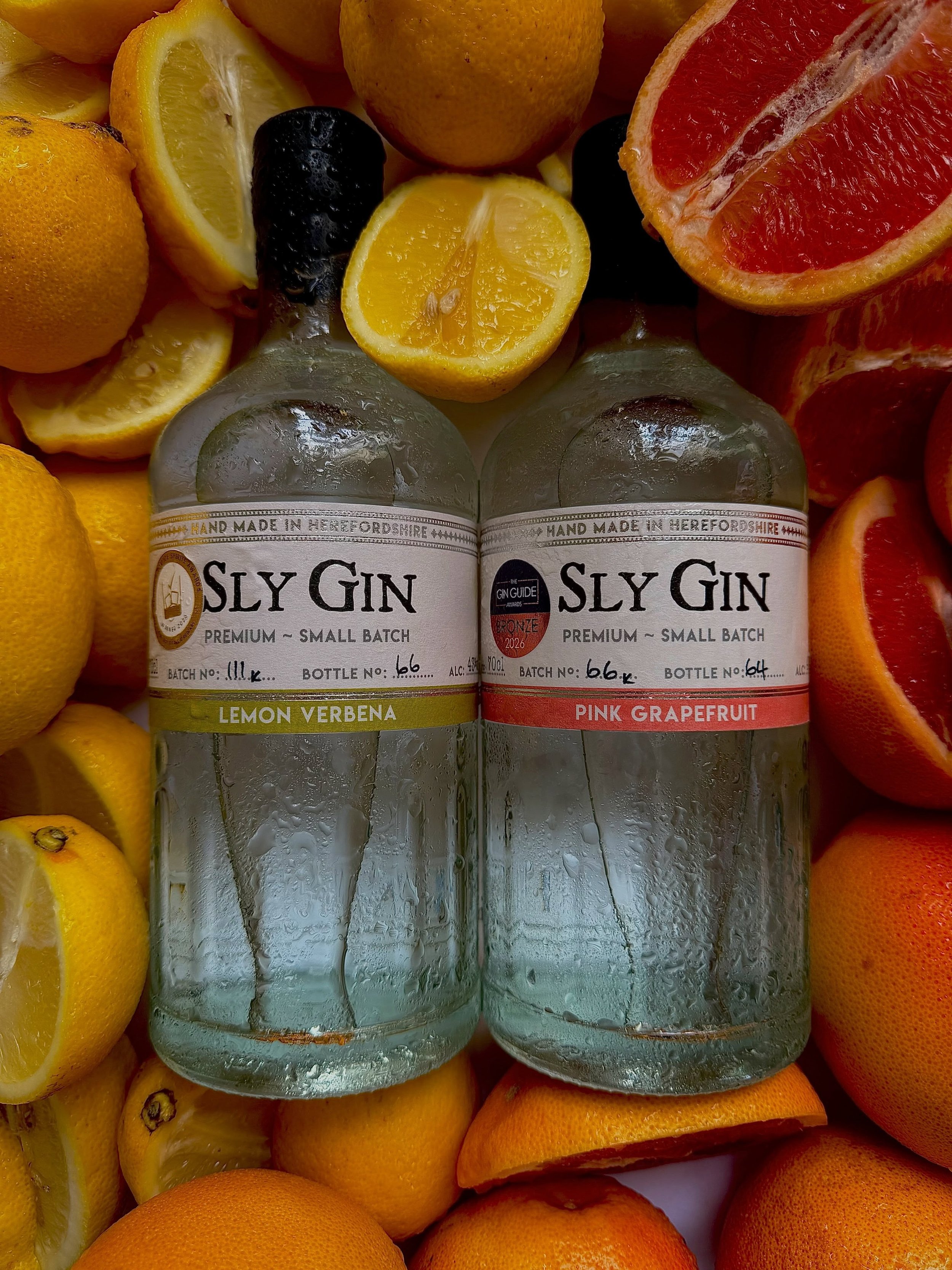 Tomorrow, we&rsquo;re sipping Sly Gin at Summerfest 🍸

One more sleep until a day of DJs, good food, great drinks and all the summer vibes. Get your fix of @sly_gin_distillery at the bar and let&rsquo;s make it one to remember.

See you tomorrow! 🕺