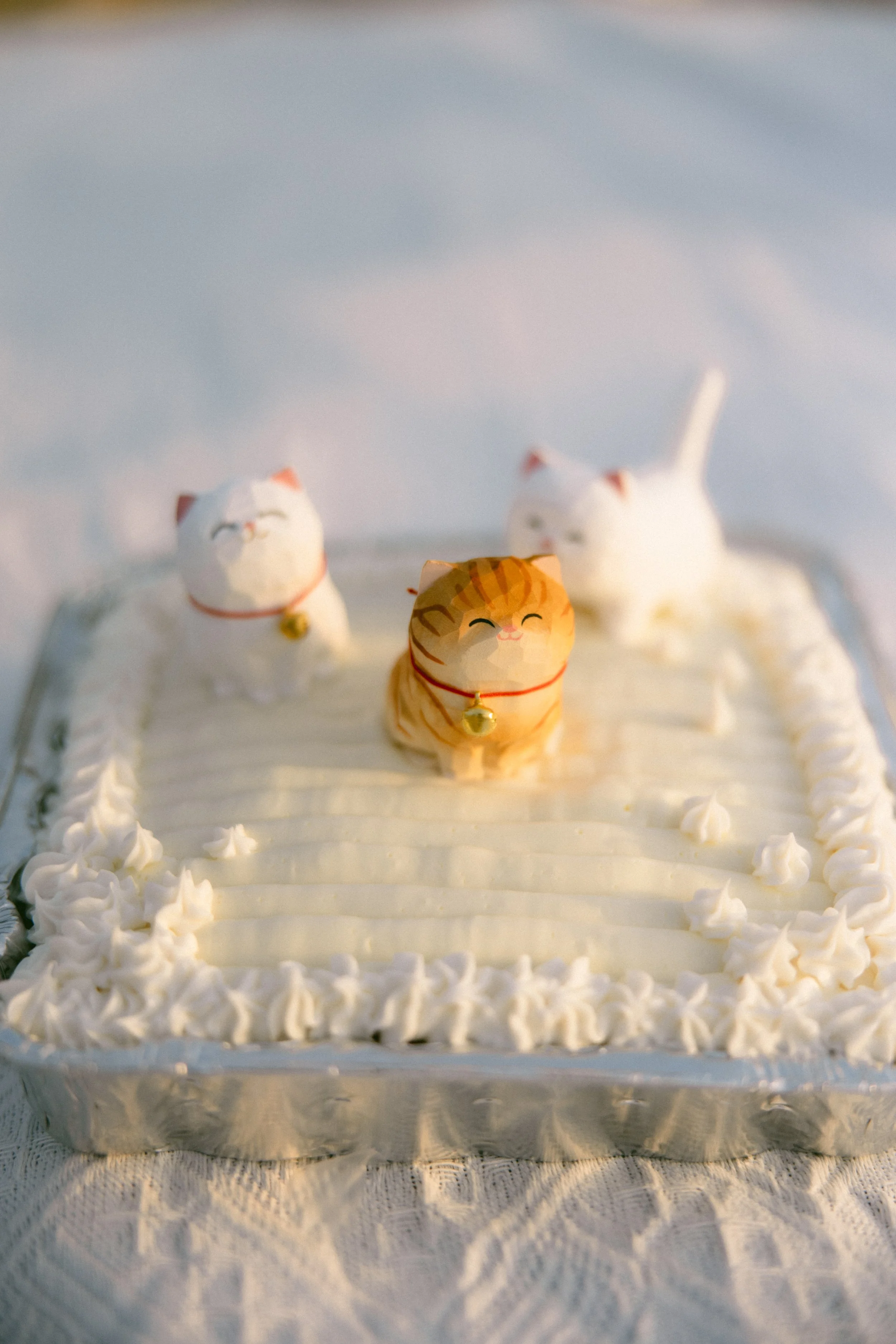 251003 Nicci + Brady-31.jpg