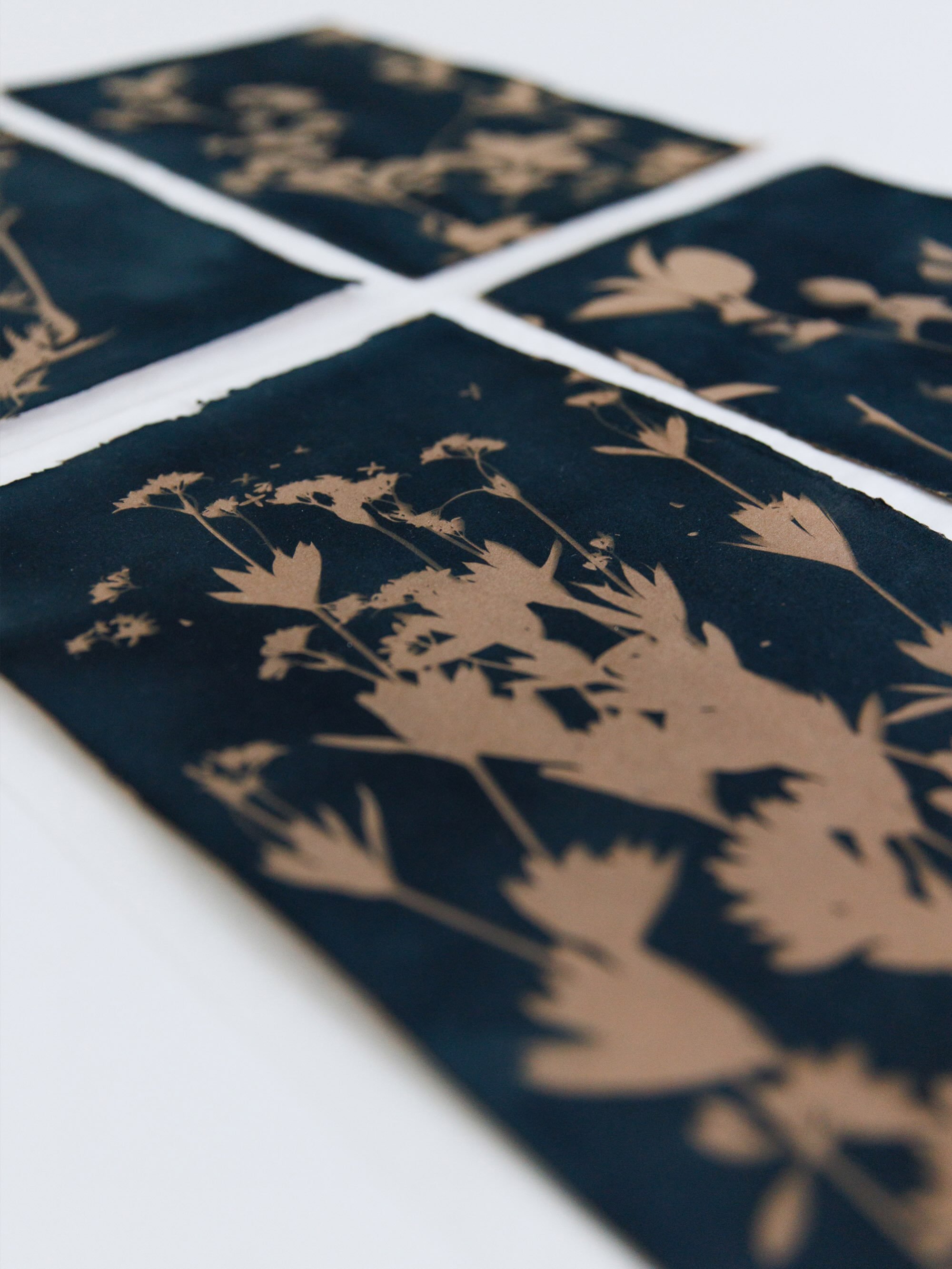 A sweet series of cyanotypes, softy toned with black tea, transformed into luxury wallcovering.

Shown here in BASK. Available in 4 colourways.

#designerwallpaper #interiordesign #secondempiresurfaces