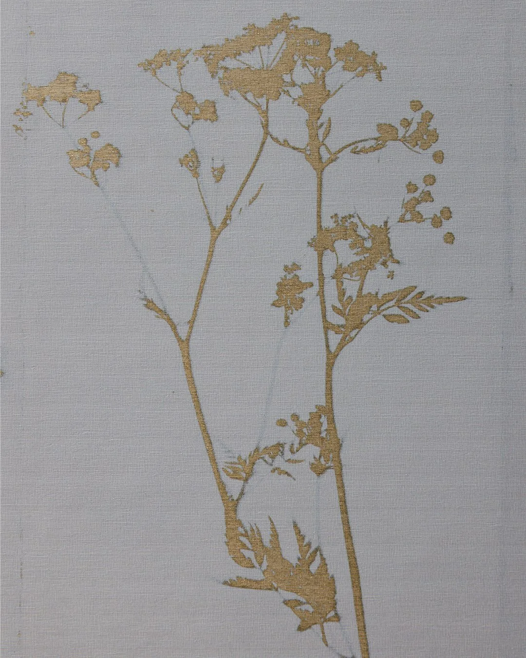 GLIMMER⁠ from our Solstice collection is aptly named for its delicate shimmering profile of Newfoundland wildflowers. ⁠

Printed on a metallic substrate with a white ink overcoat. Designed &amp; Produced in house by us.

Link to order samples is in o