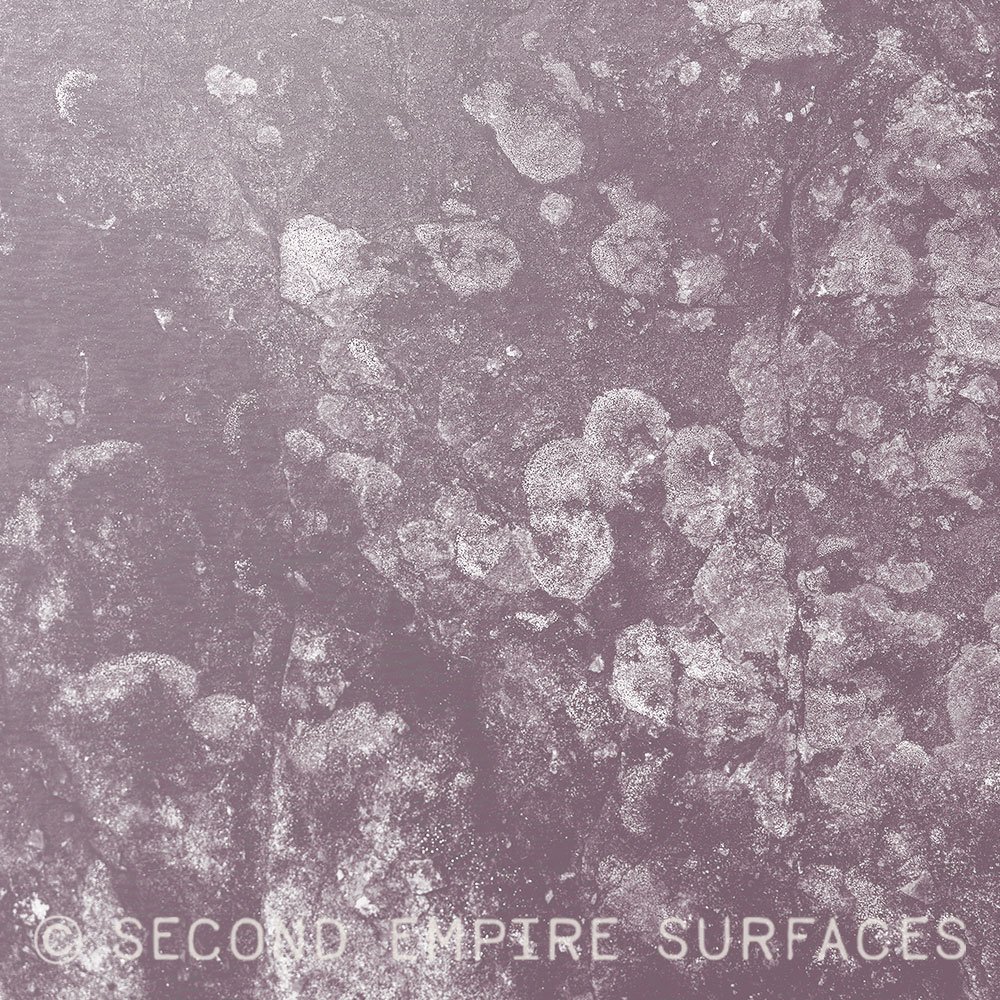 FR-2506-IR.jpg