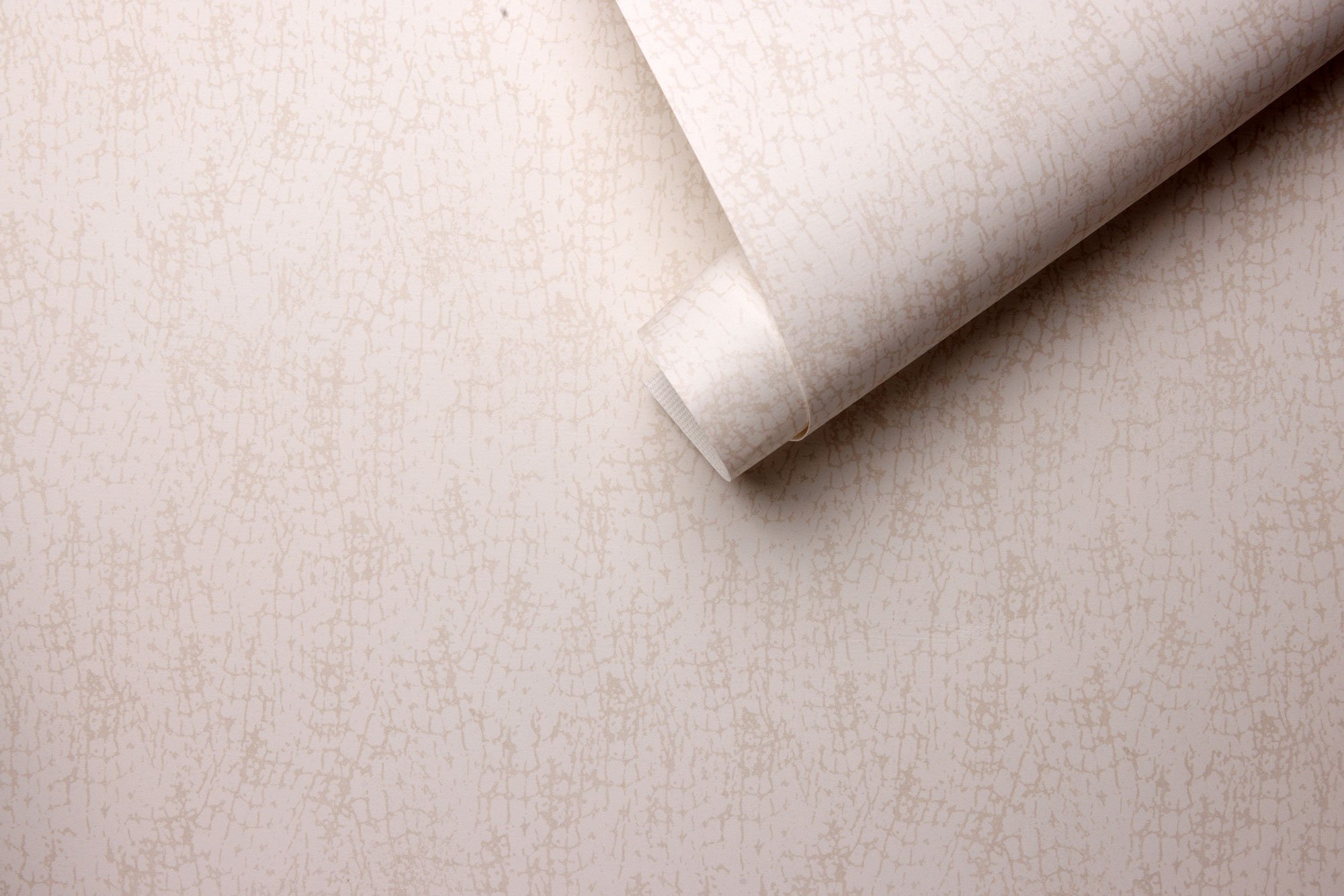 NT-2506-NA-rolls-web.jpg