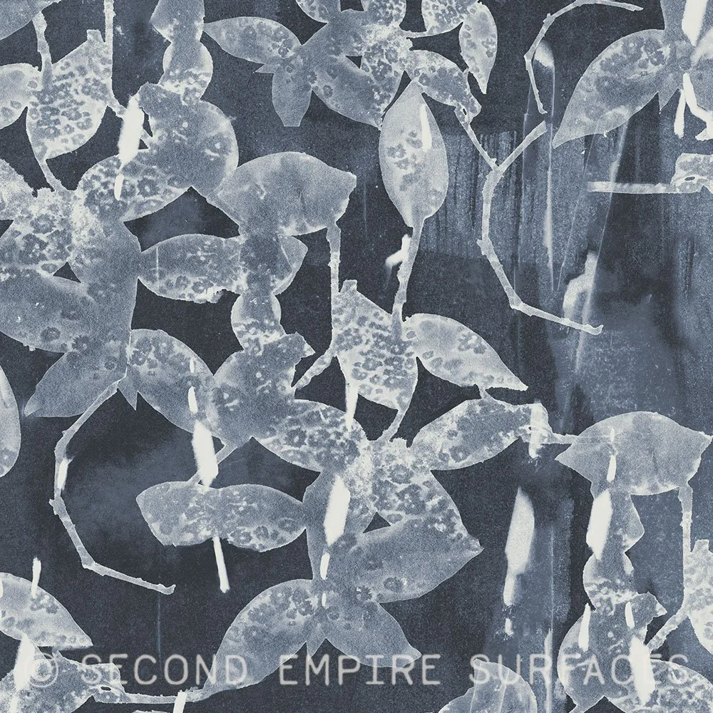 SO-TR-DB.jpg