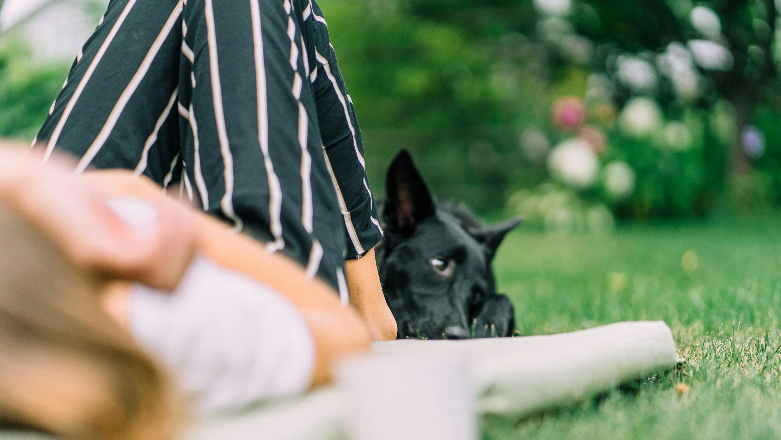 Woman laying in the grass next to her black dog