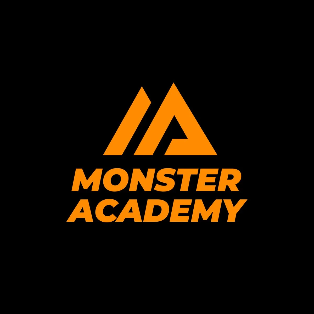 Monster academy UGRO Boxteam kooperation.jpg