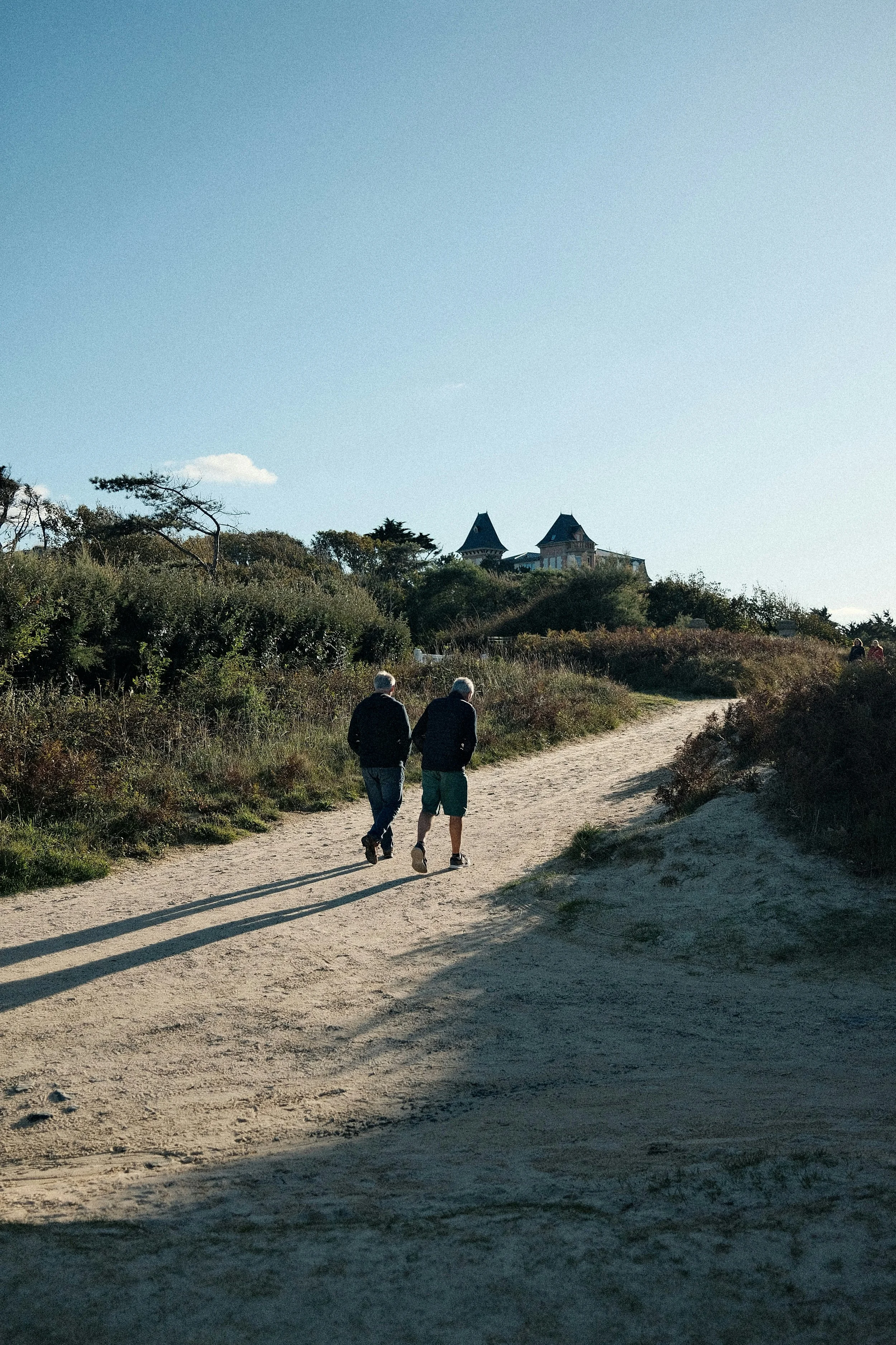 Why aren't more meetings, walks?