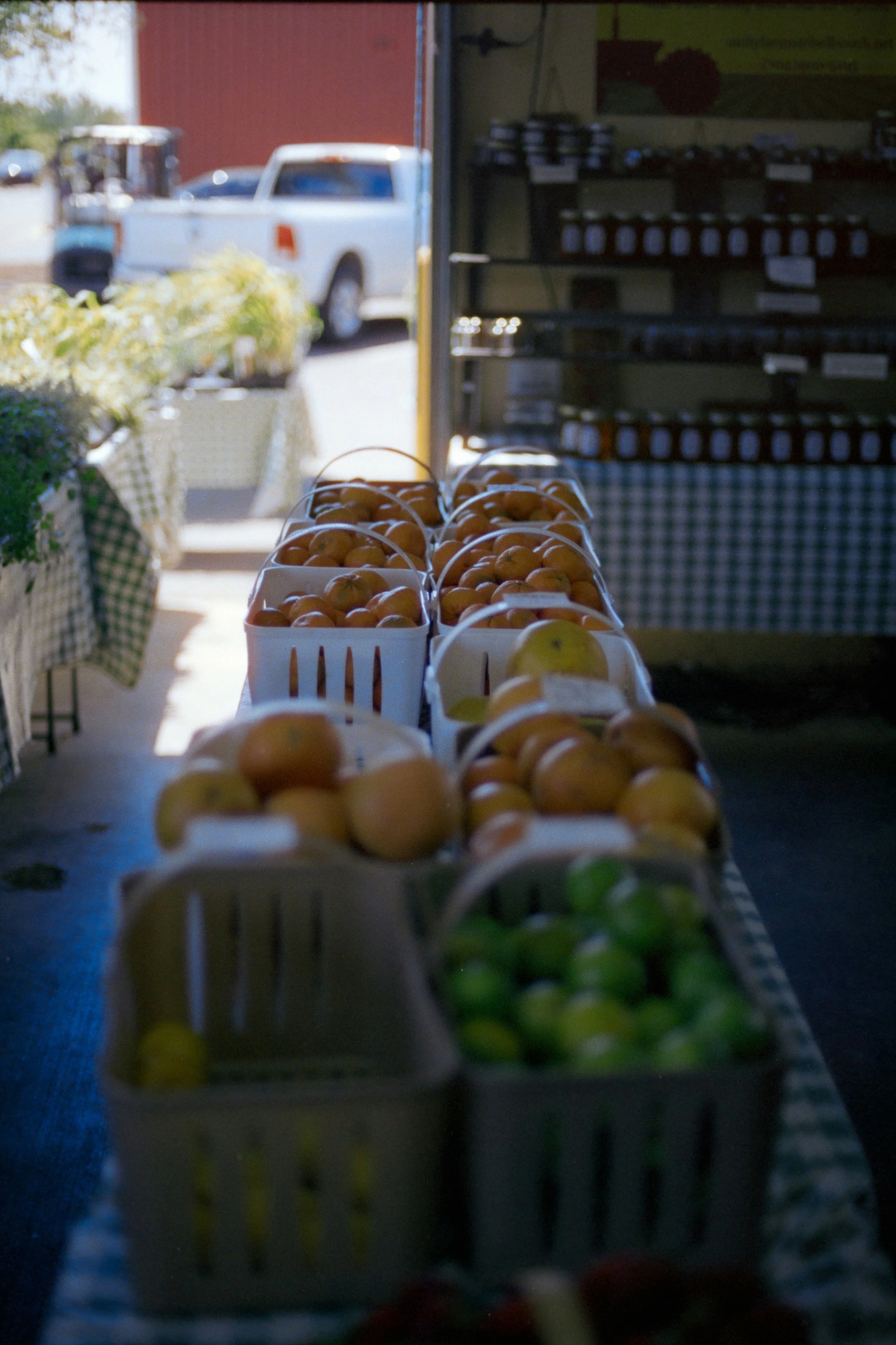 Some People See Ugly Fruit. Others See a Business.