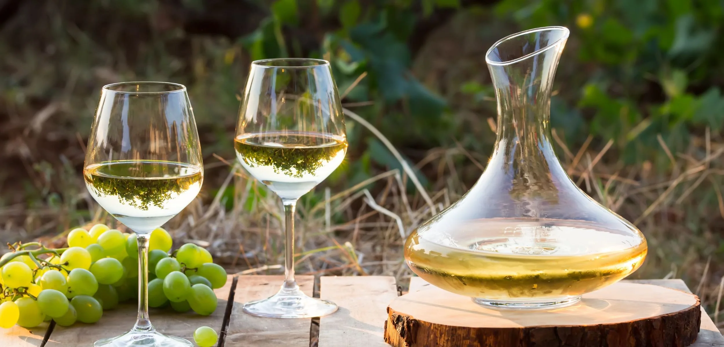 Two glasses of non-alcoholic white wine and a decanter on a wooden table, surrounded by fresh green grapes in a vineyard setting.