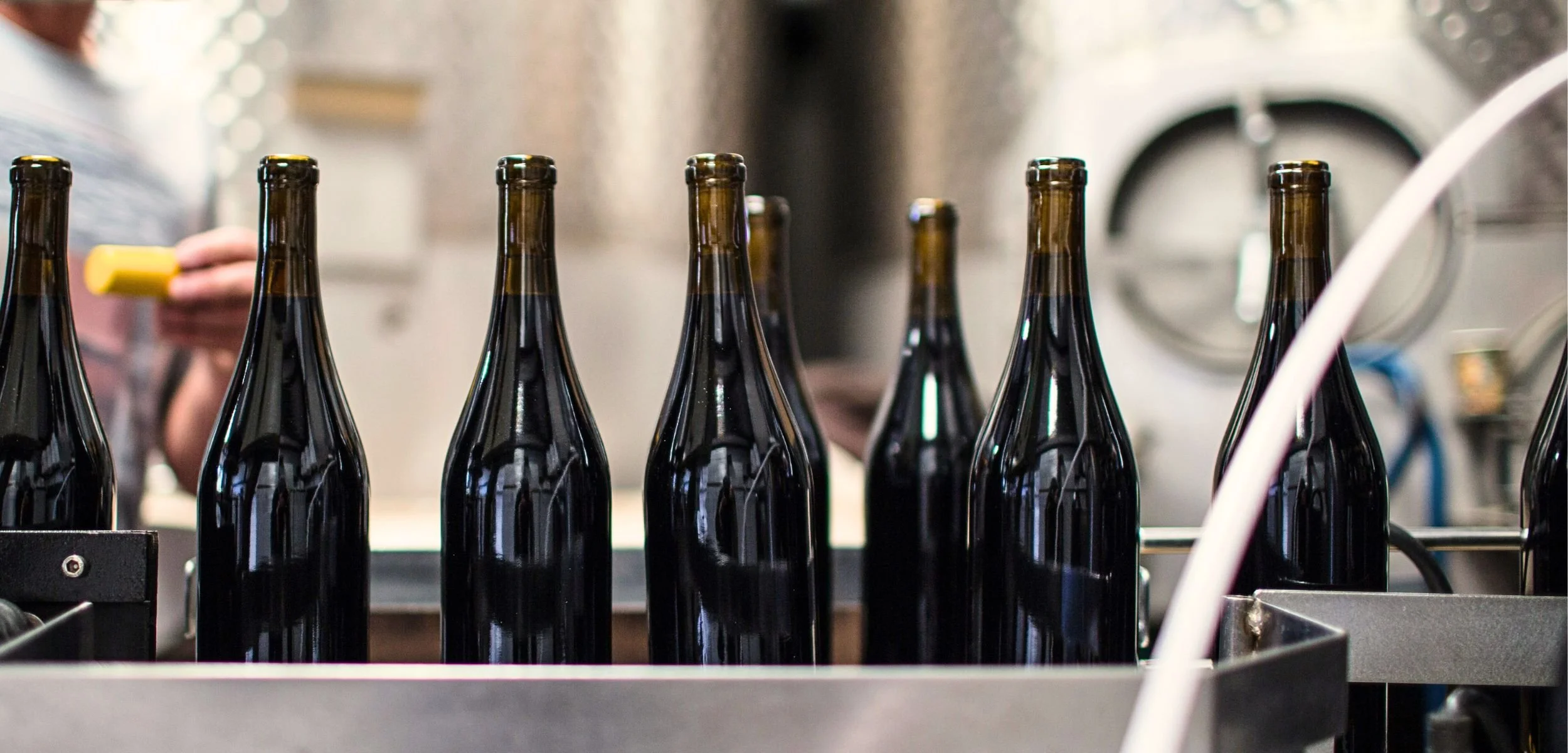 A row of dark wine bottles being filled in a winery, showcasing the bottling process in a modern production facility.