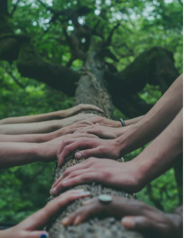 How a $1B Social Impact Company Increased Win Rates by 28% with IcebergIQ
