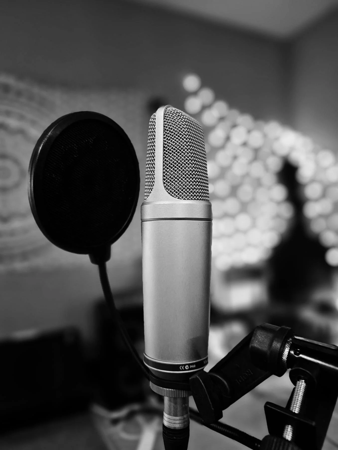 Close-up of a professional studio microphone with pop filter in a recording studio, black and white photo.