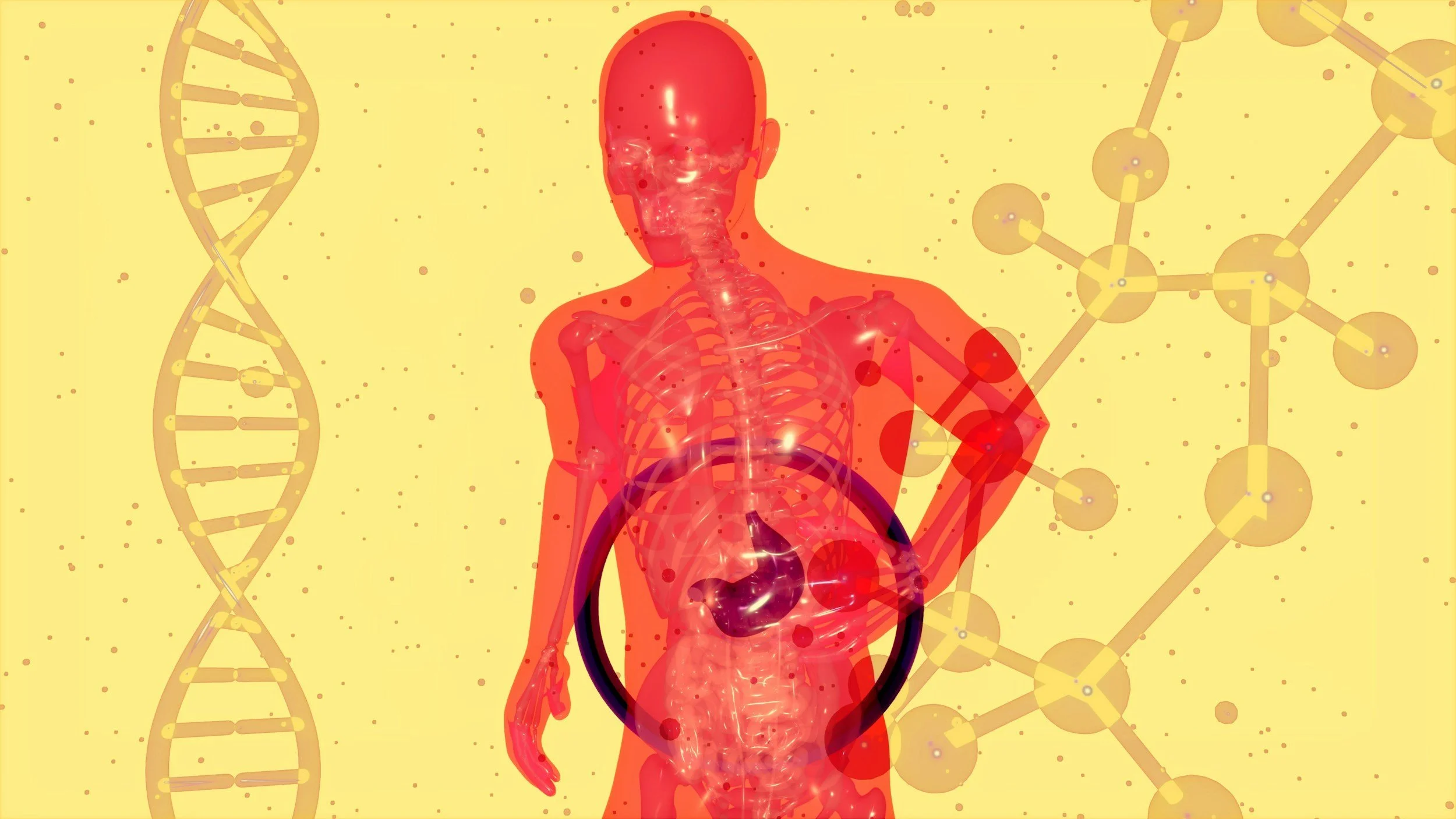 Monthly Information Session - Fatty Liver