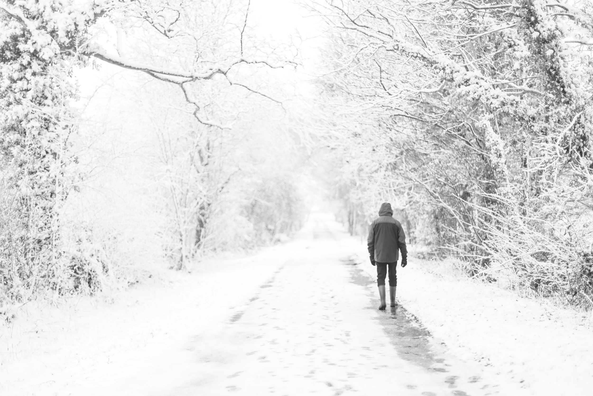 Seasonal Affective Disorder (SAD) 
