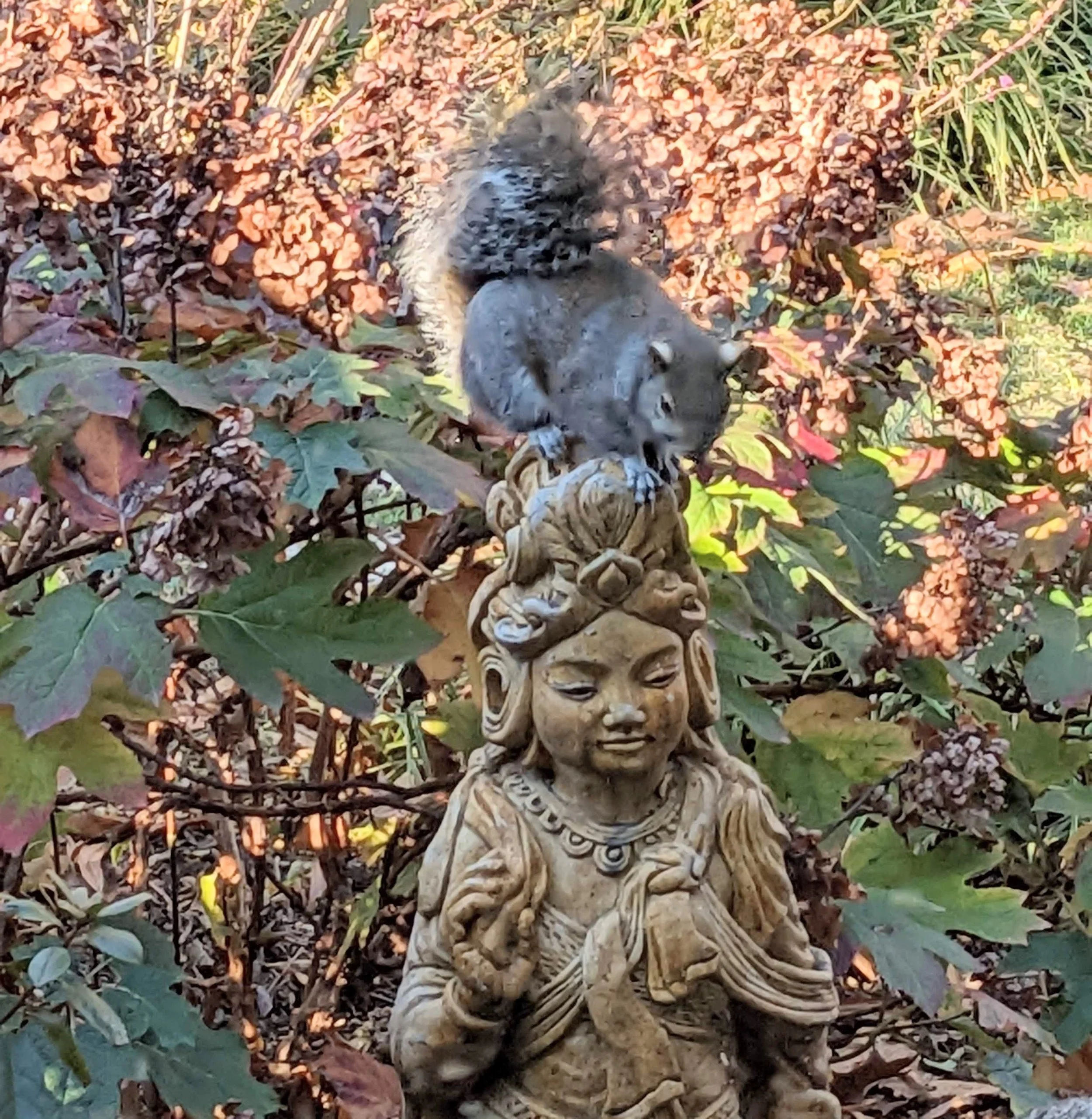Public Online Dharma Talk: “She Who Hears the Cries of the World”