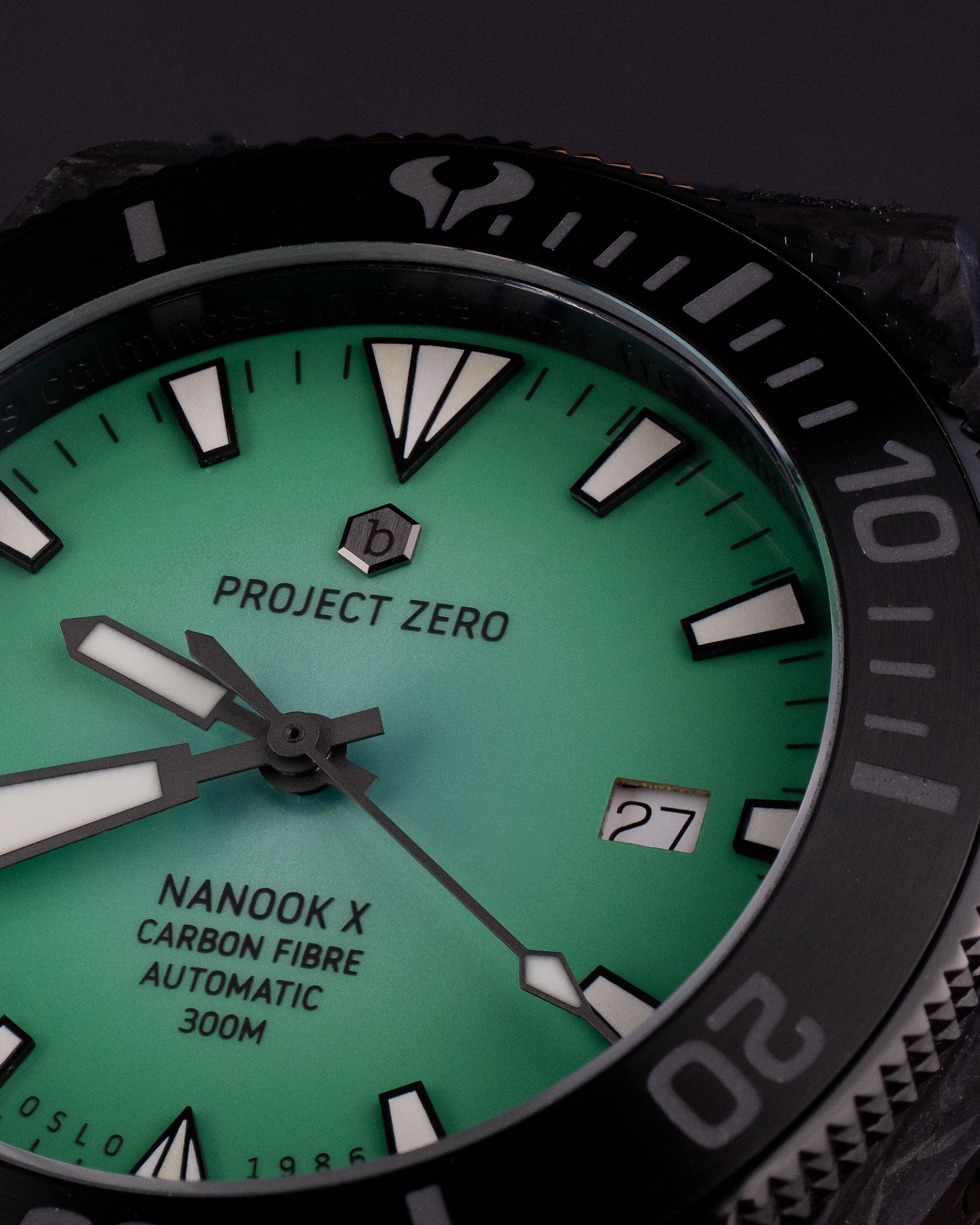 Bragdur makro 1-3.jpg