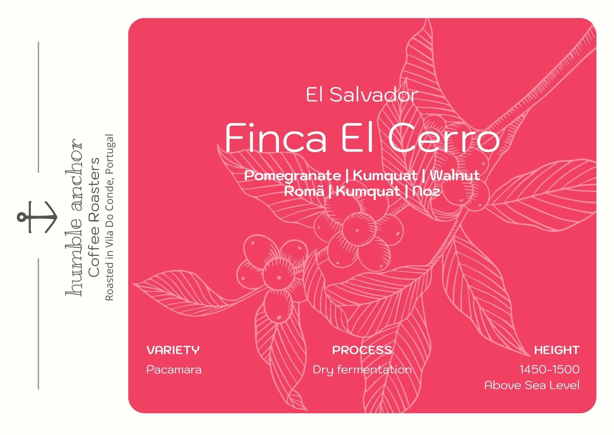 El Salvador  Finca El Cerro  Front.jpg