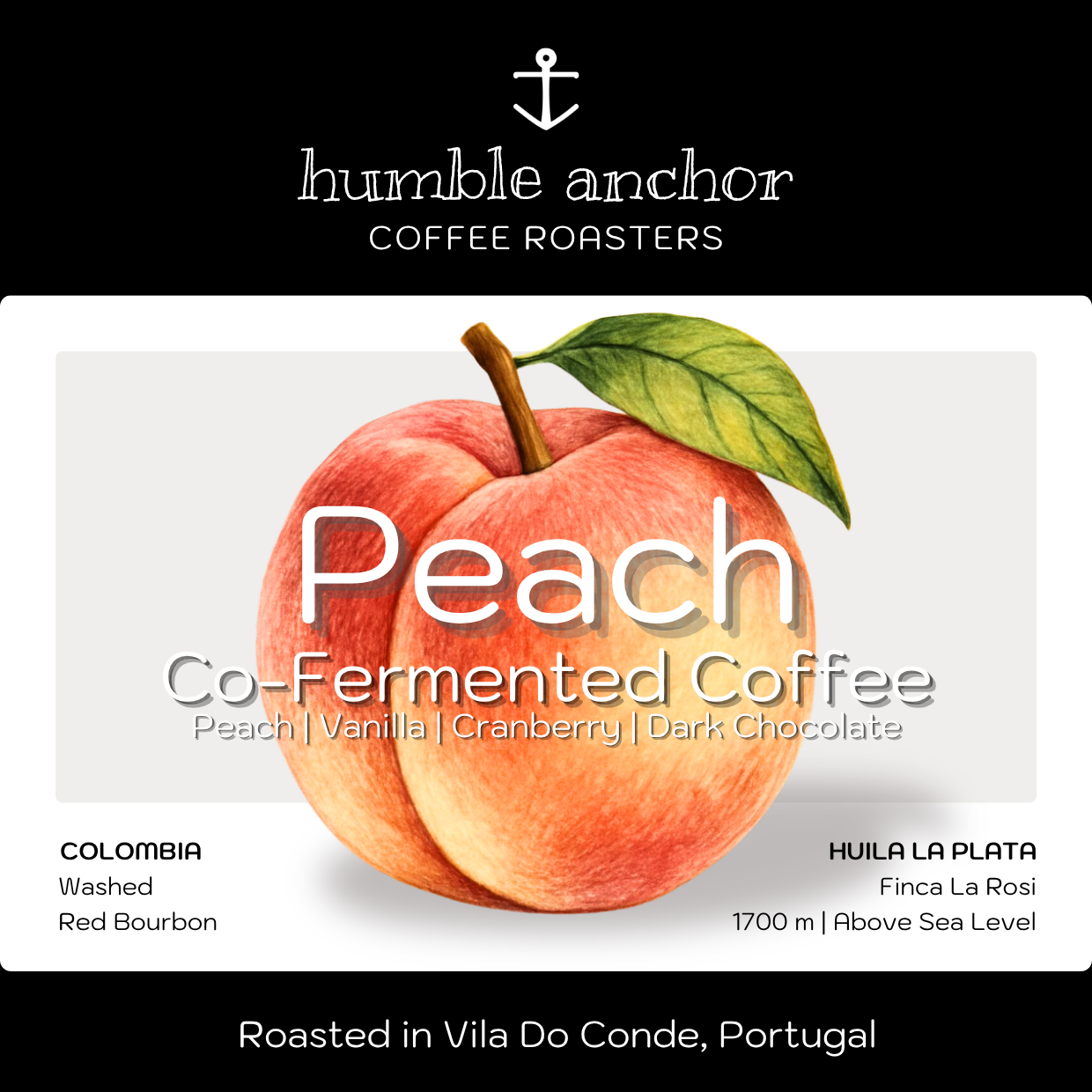 CO-Ferment _ Peach.png