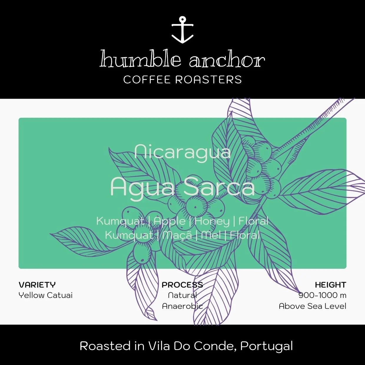 Nicaragua _ Agua Sarca.jpg