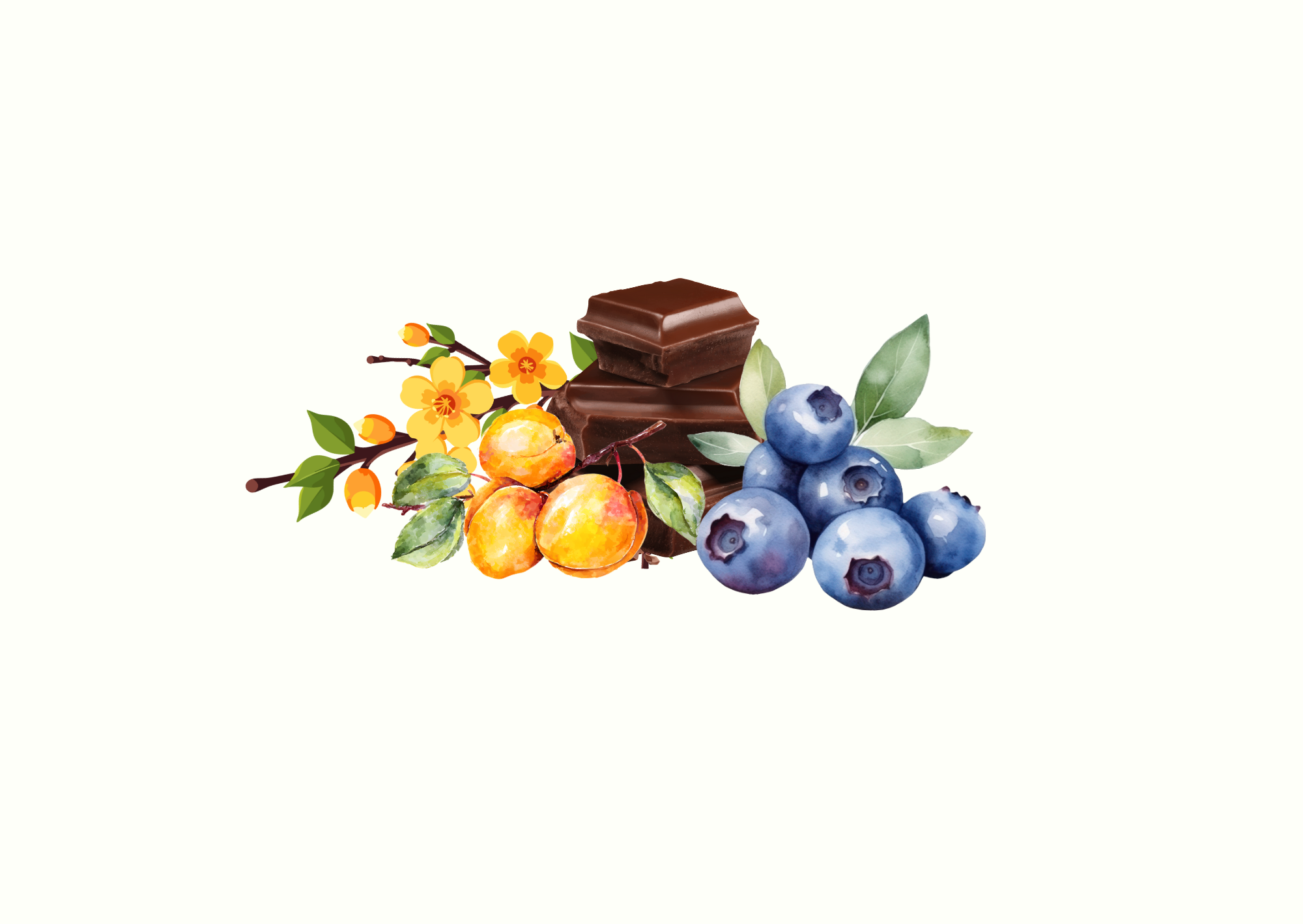 Ethiopia Yirgacheffe _ Fruit Bomb 2.0 (2).png