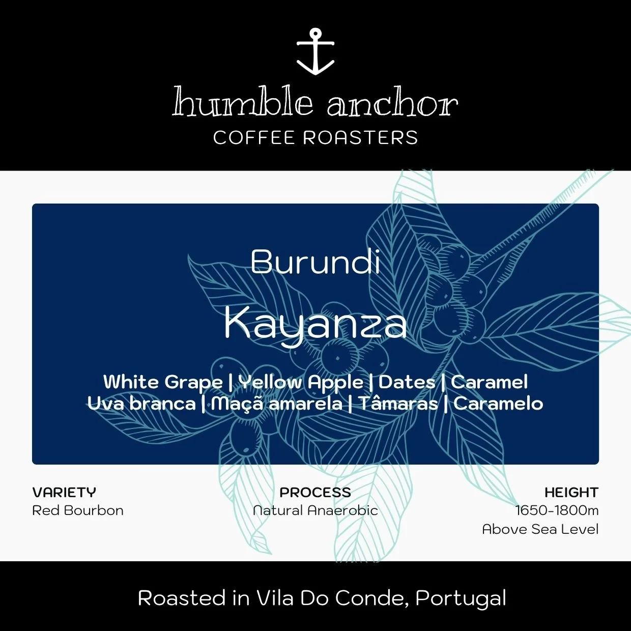 Burundi _ Kayanza.jpg