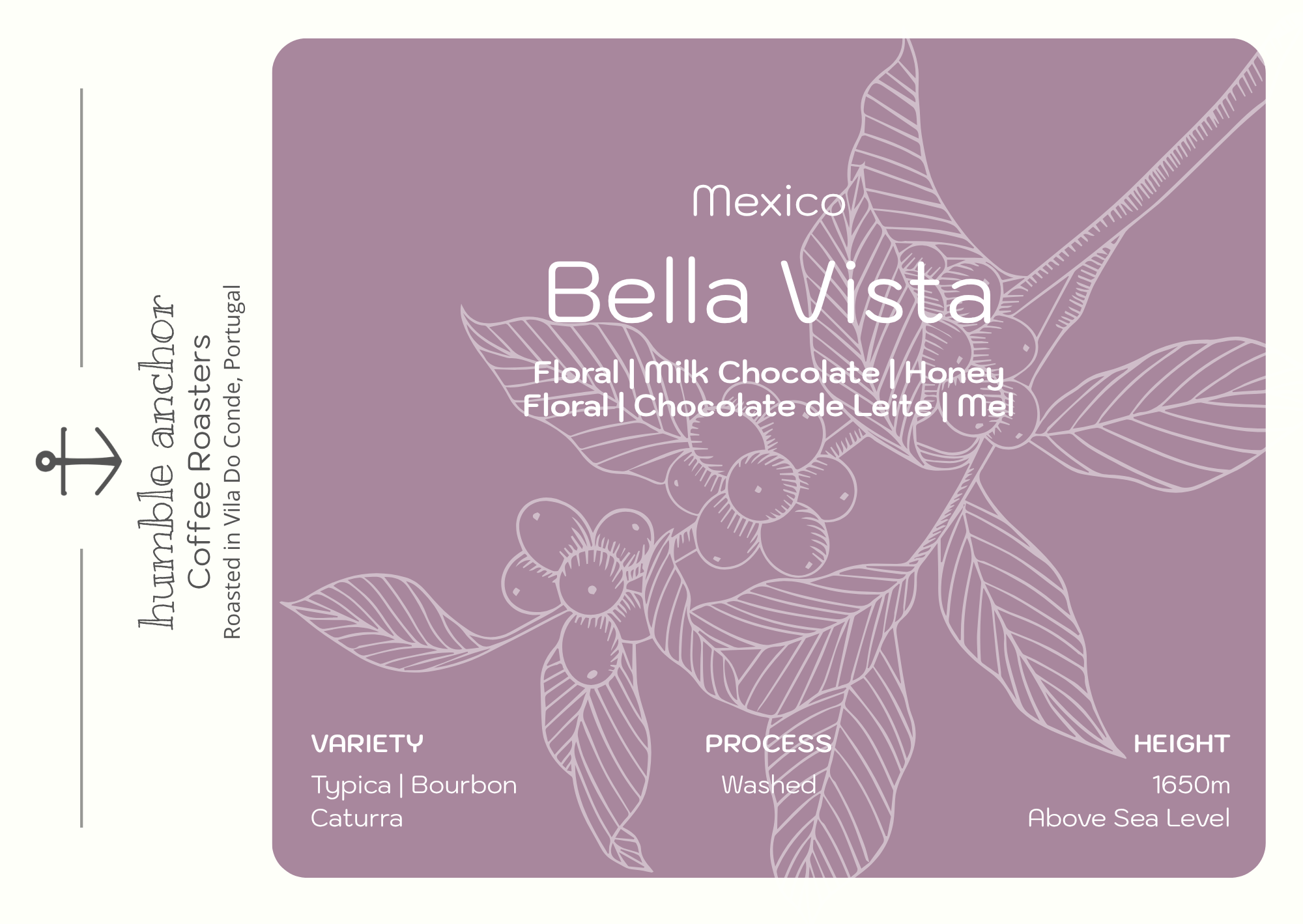 Mexico _ Bella Vista _ Front.png