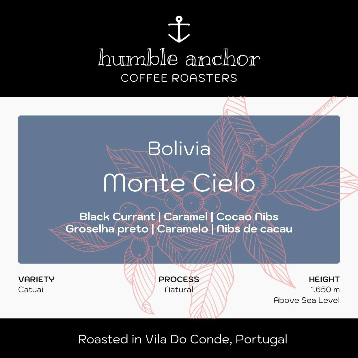 Bolivia _ Monte Cielo.jpg