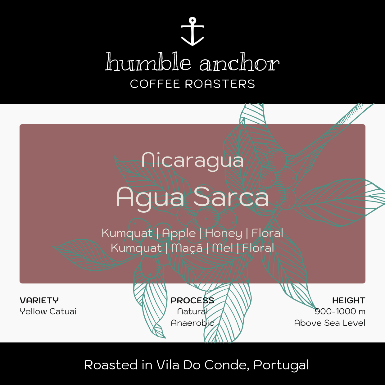 Nicaragua _ Agua Sarca.png