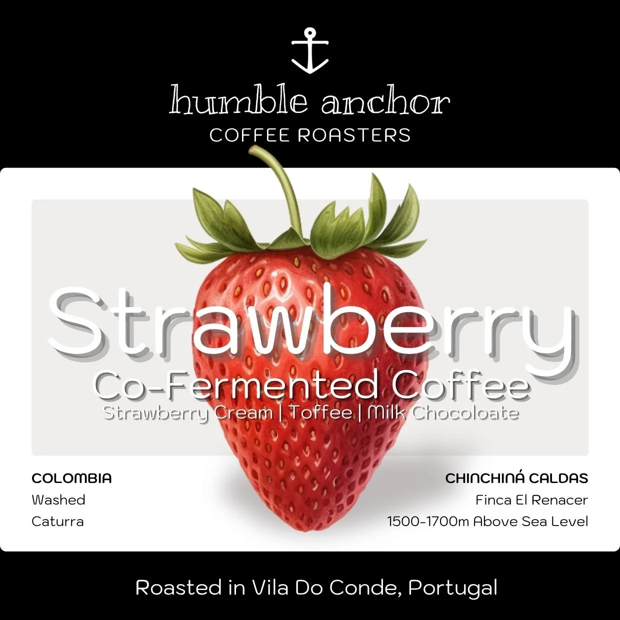 CO-Ferment _ Strawberry.jpg