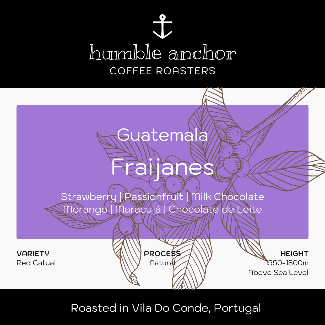 Guatemala _ Fraijanes.png