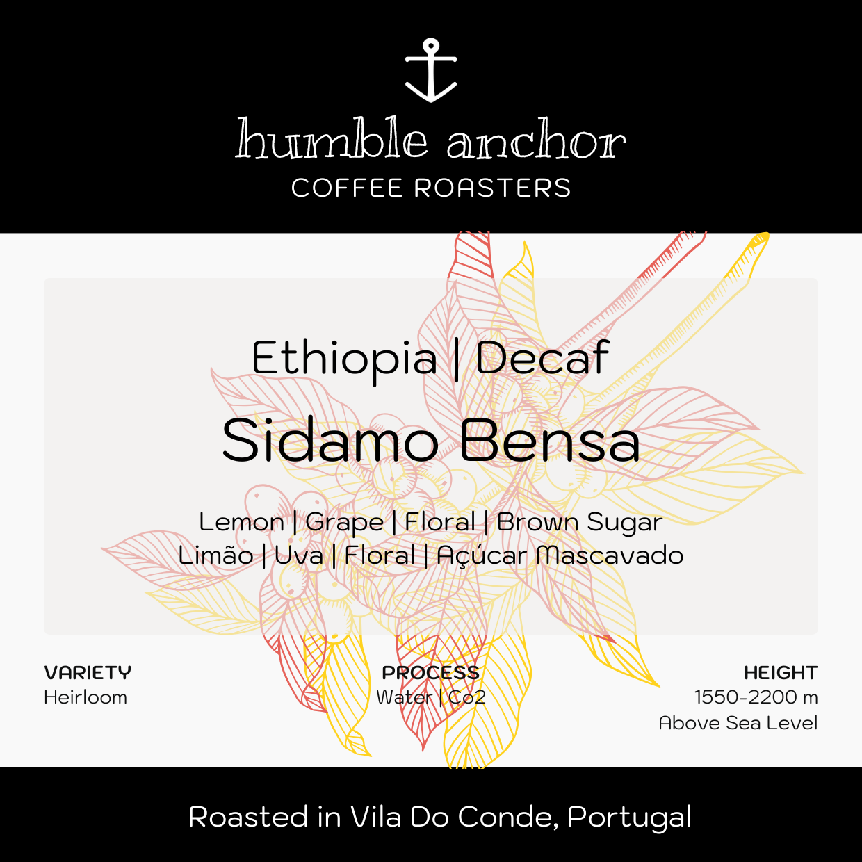 Ethiopia _ Decaf.png