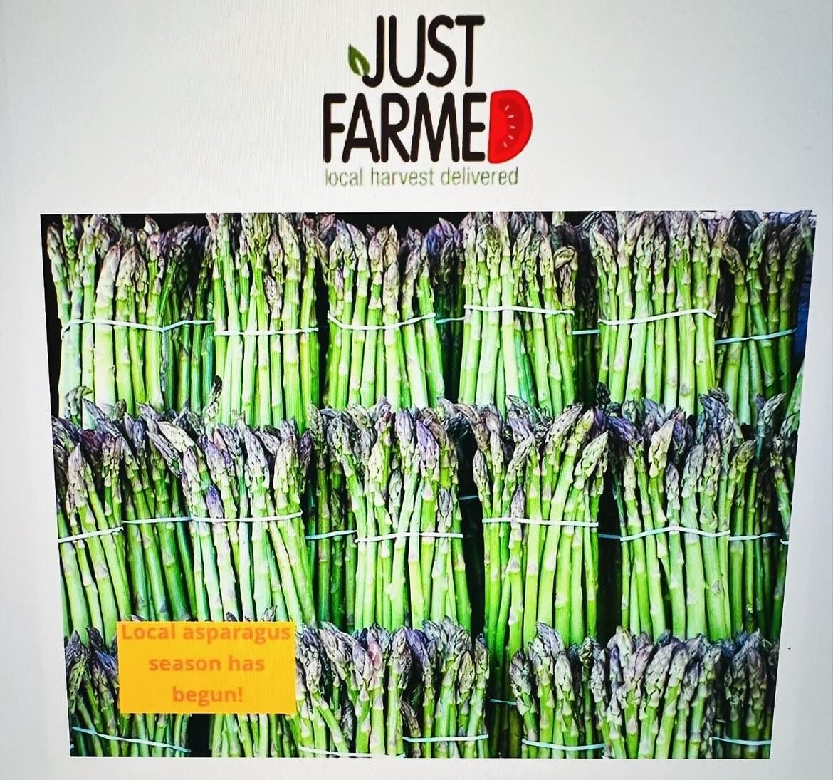 Our tried and true partners at @justfarmed are kicking off the season with #asparagus and we are excited to offer #peakseason @sheppardfarmsnj best.