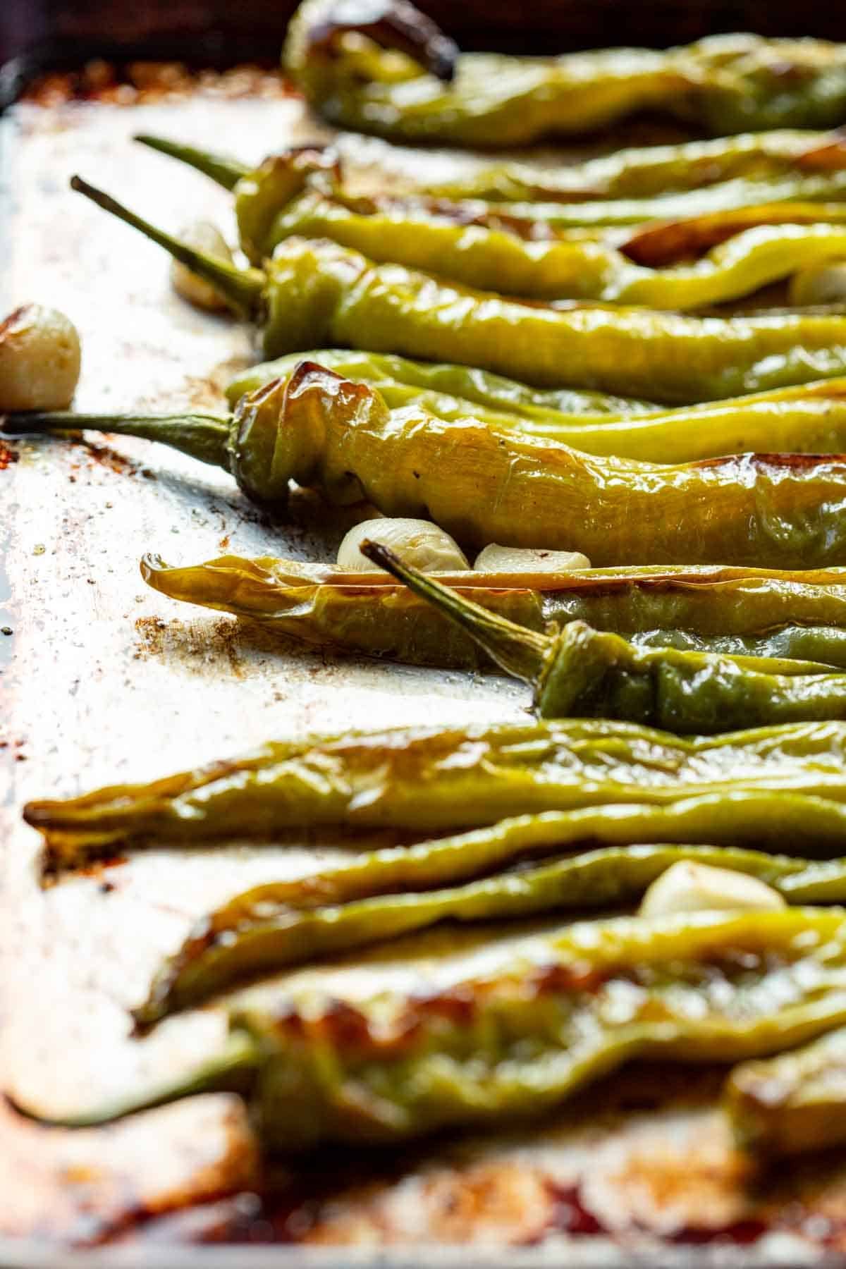 "Long Hots" Jersey Style