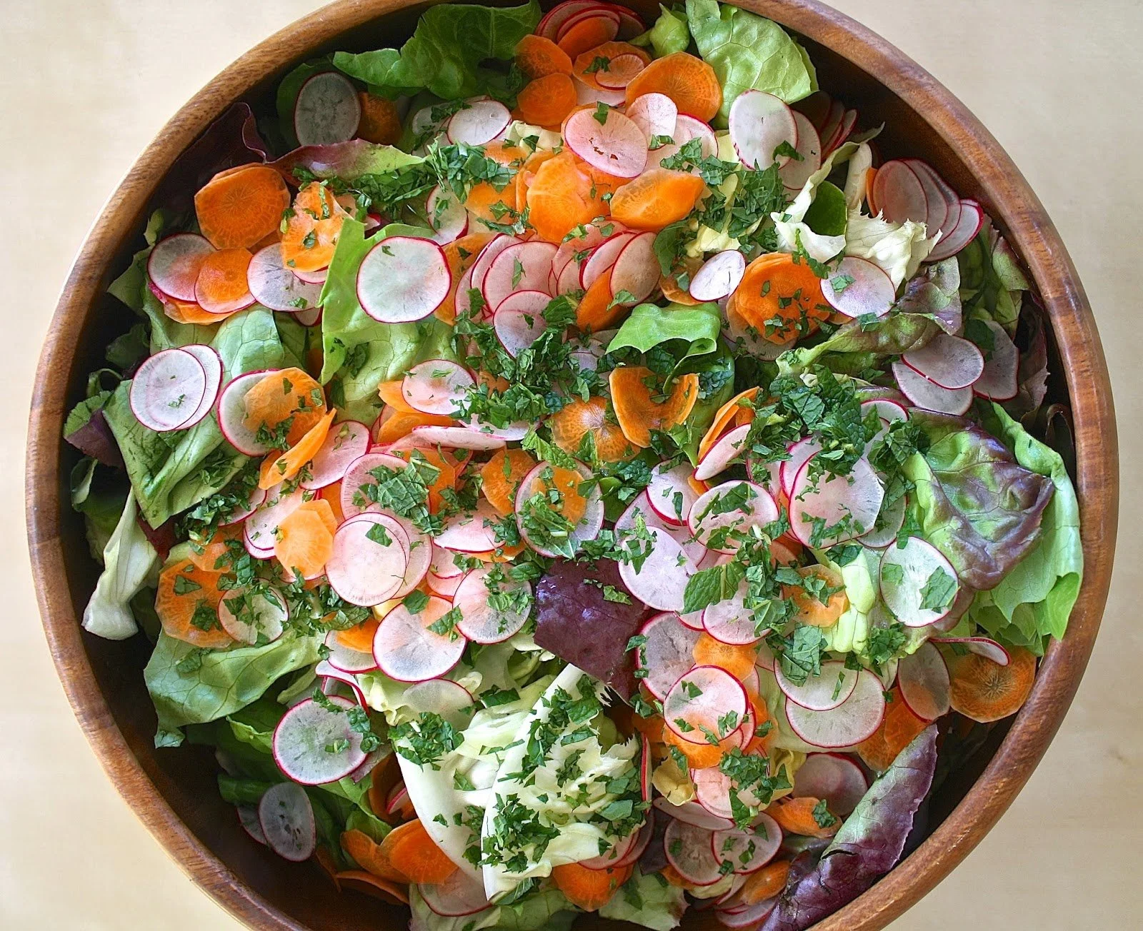 Butter Lettuce Salad with Radishes, Carrots and Mint