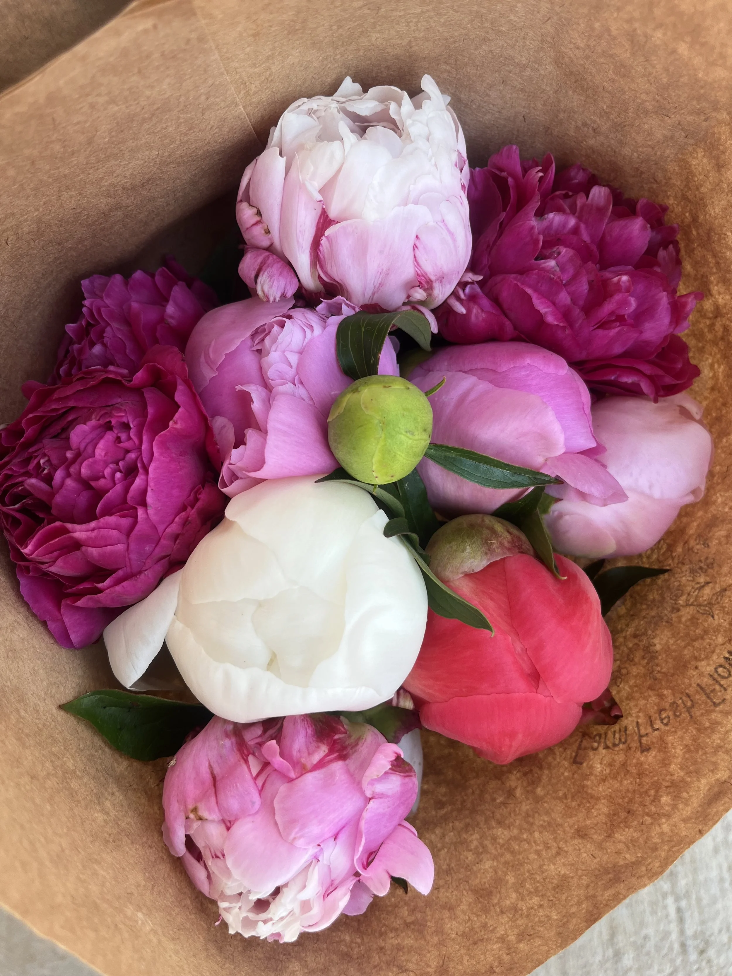 2026 Peony Subscription