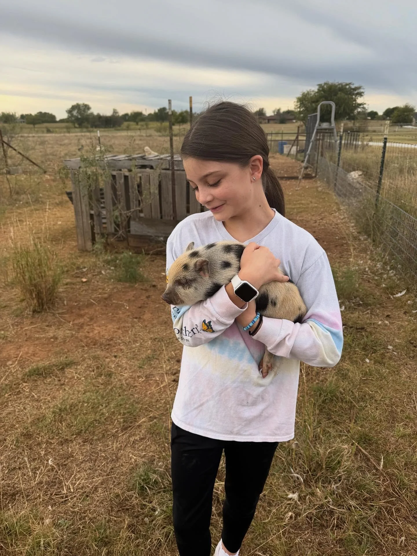 Meet the newest addition to Ellis Acres&hellip; Penelope the Pig!  She already has three affectionate nicknames: Penny, Potato, and Redemption Piggy. 

If you have followed us for some time, you remember Charlotte the Pig.  Nora saved her spending mo