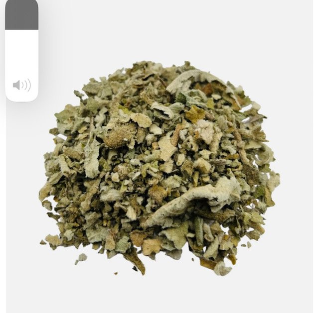 mullein leaf crushed.jpeg