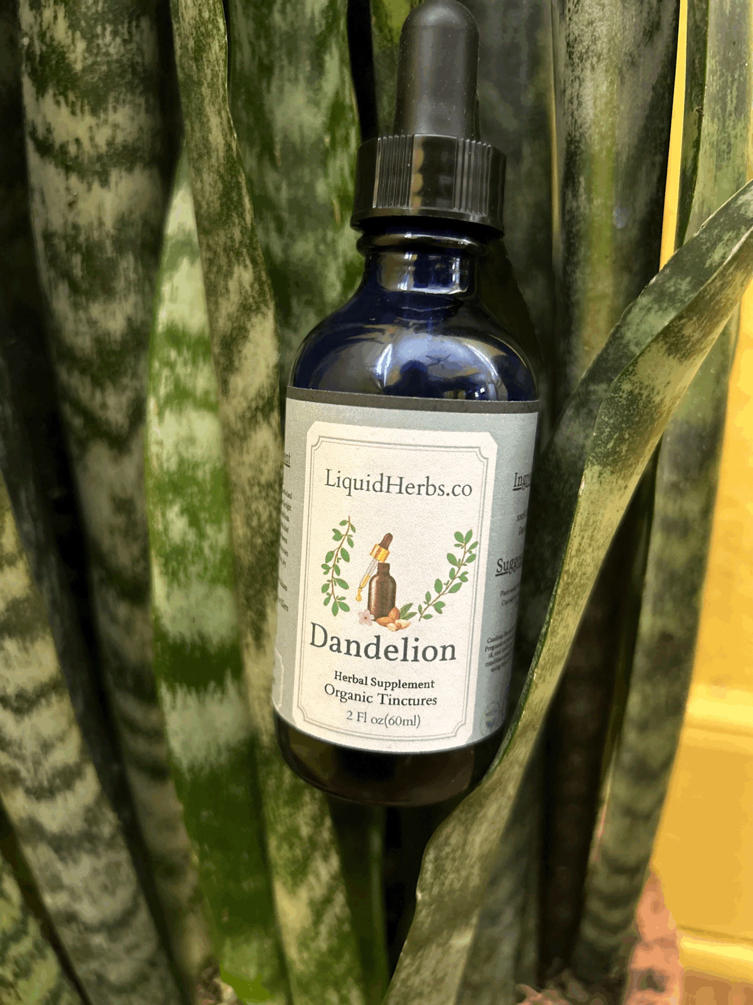 Dandelion Root Tincture
