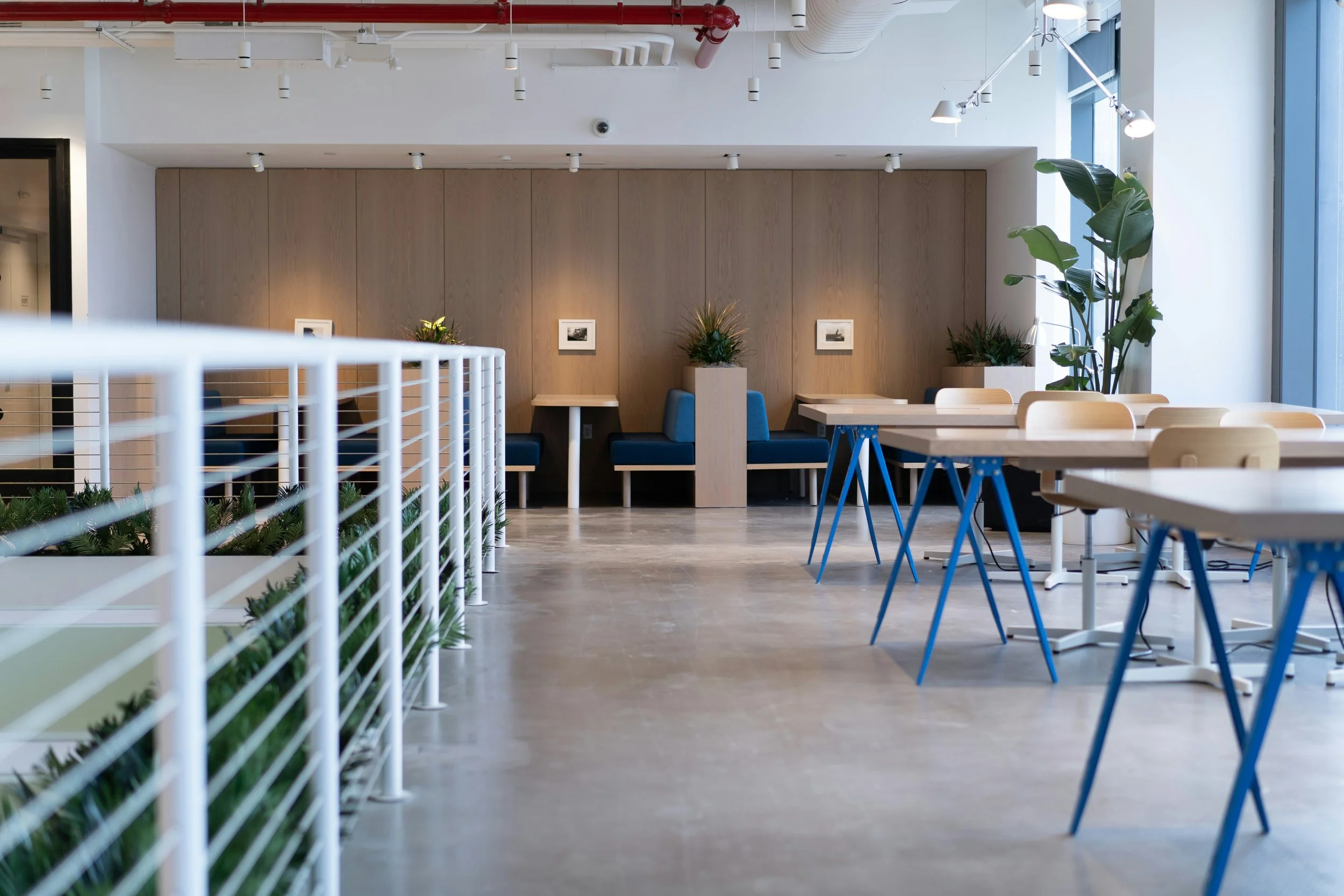 Modern office space with wooden walls, framed black-and-white photos, green plants, blue cushioned seating, and white tables near large windows letting in natural light.