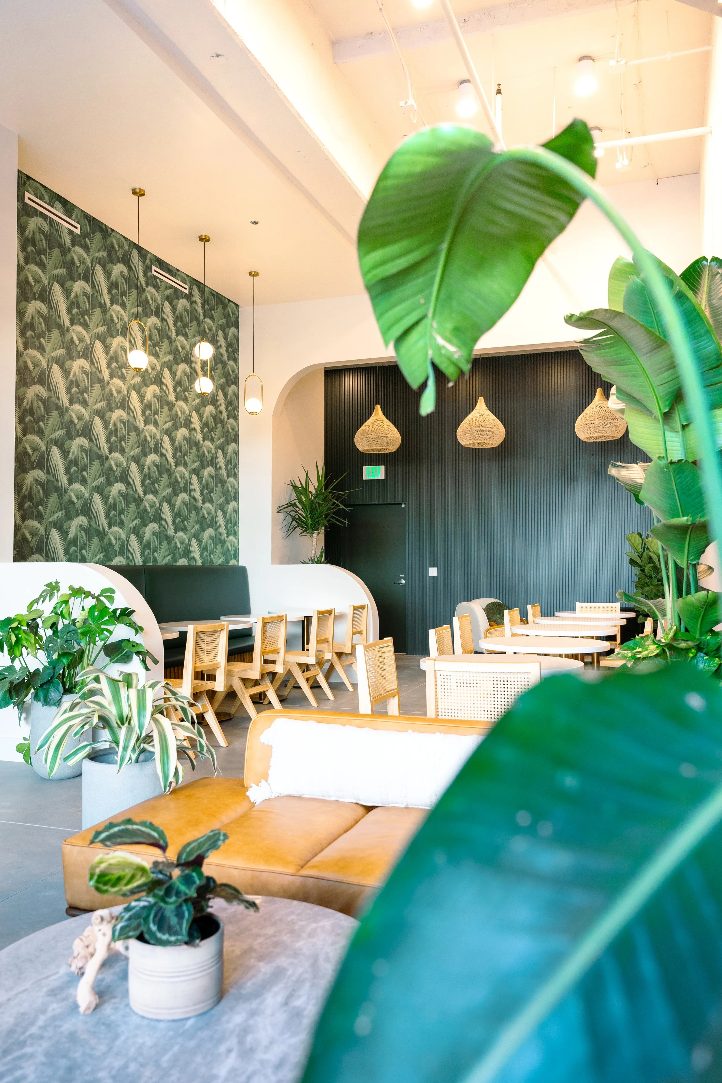 Interior of a modern cafe or restaurant with green leafy plants, wooden tables and chairs, hanging pendant lights, and a dark accent wall.