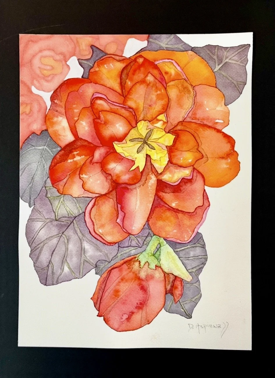 Red Begonia - SOLD