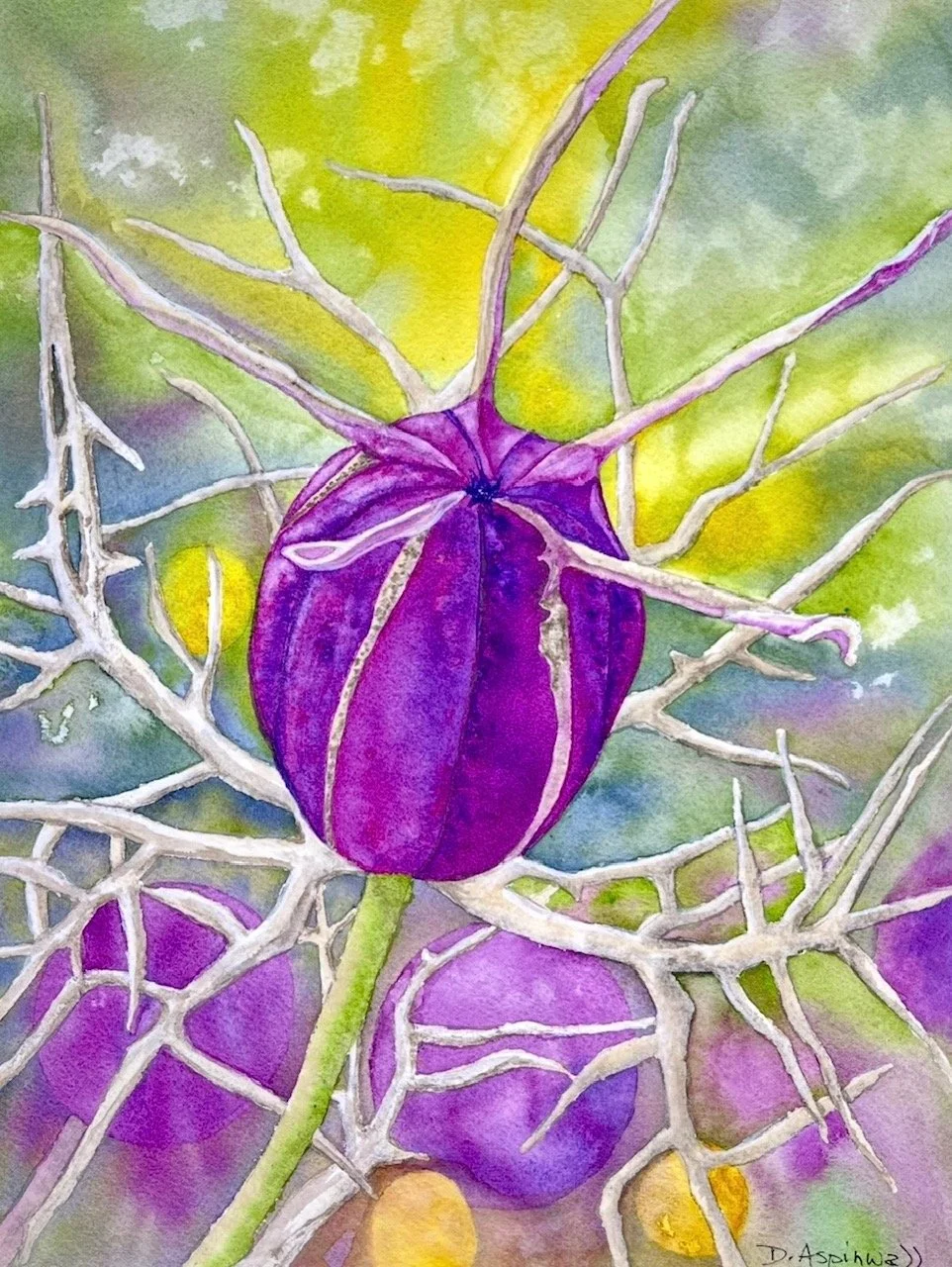 The Seedpod series no. 4