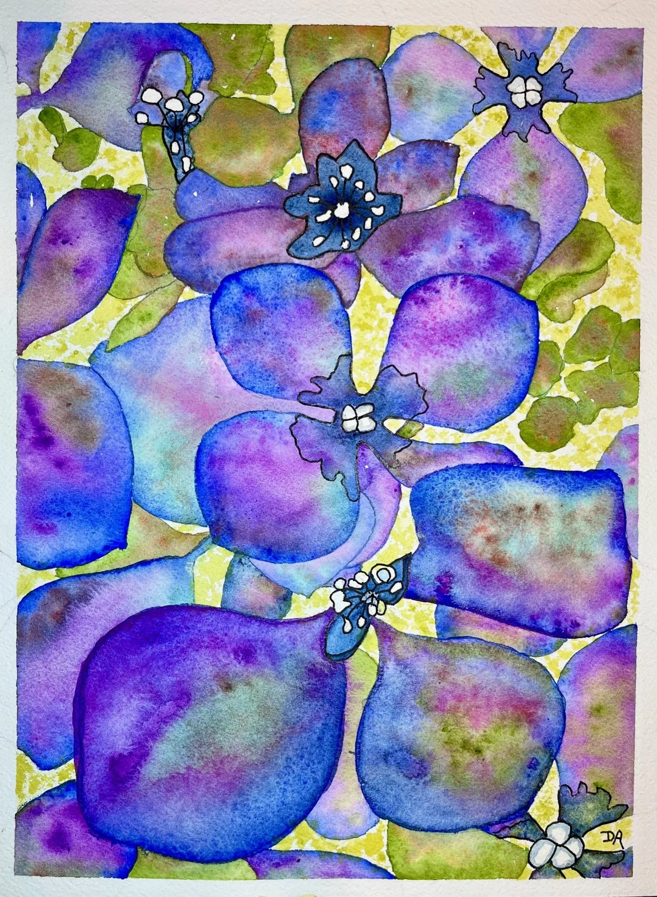 Hydrangeas Reimagined