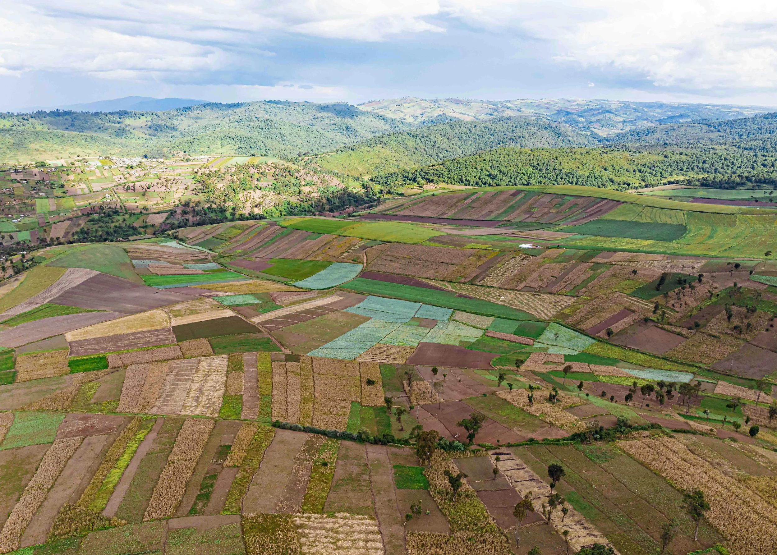 Where to Draw the Line: How Earth Observation Data Can Help Design High-Performing Agricultural Insurance