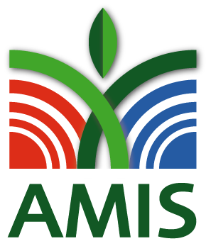 AMIS logo