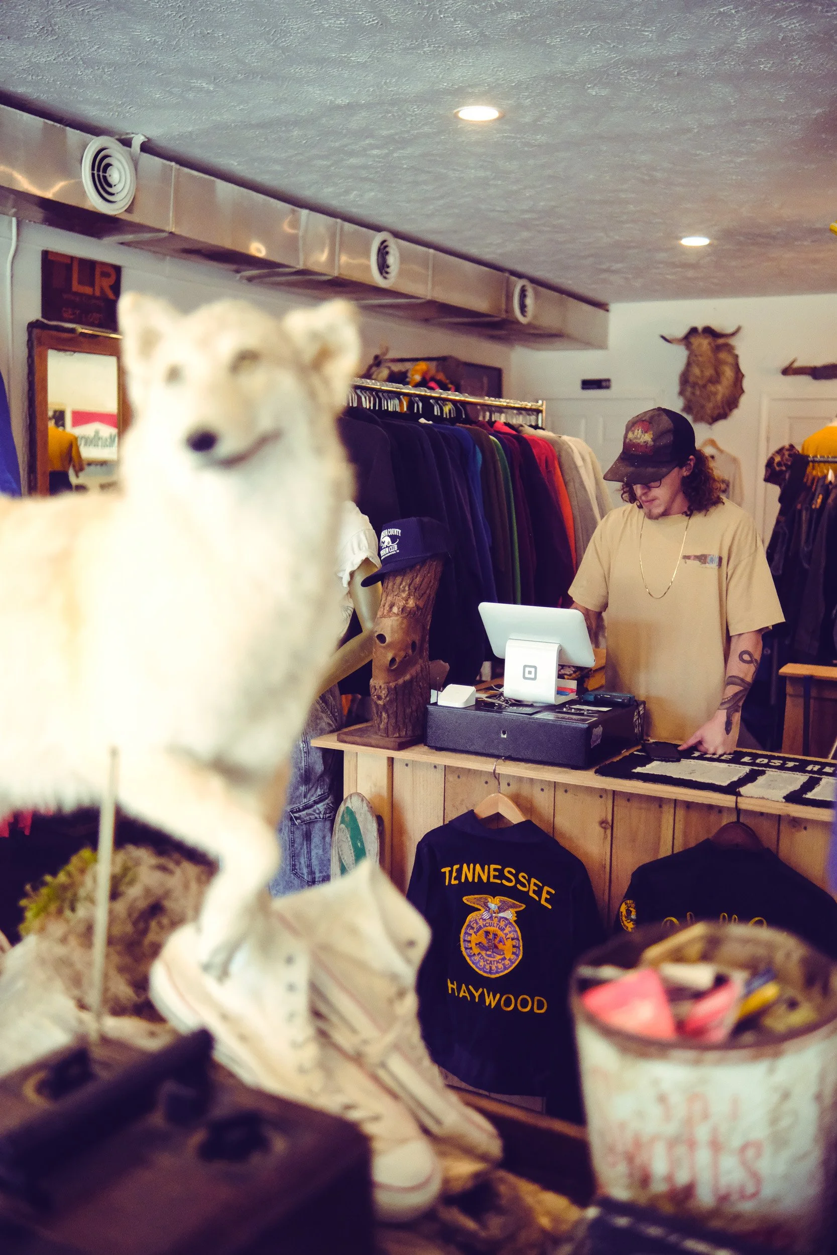 Owner Chase at the register in the shop full of vintage clothing with taxidermy animal in foreground