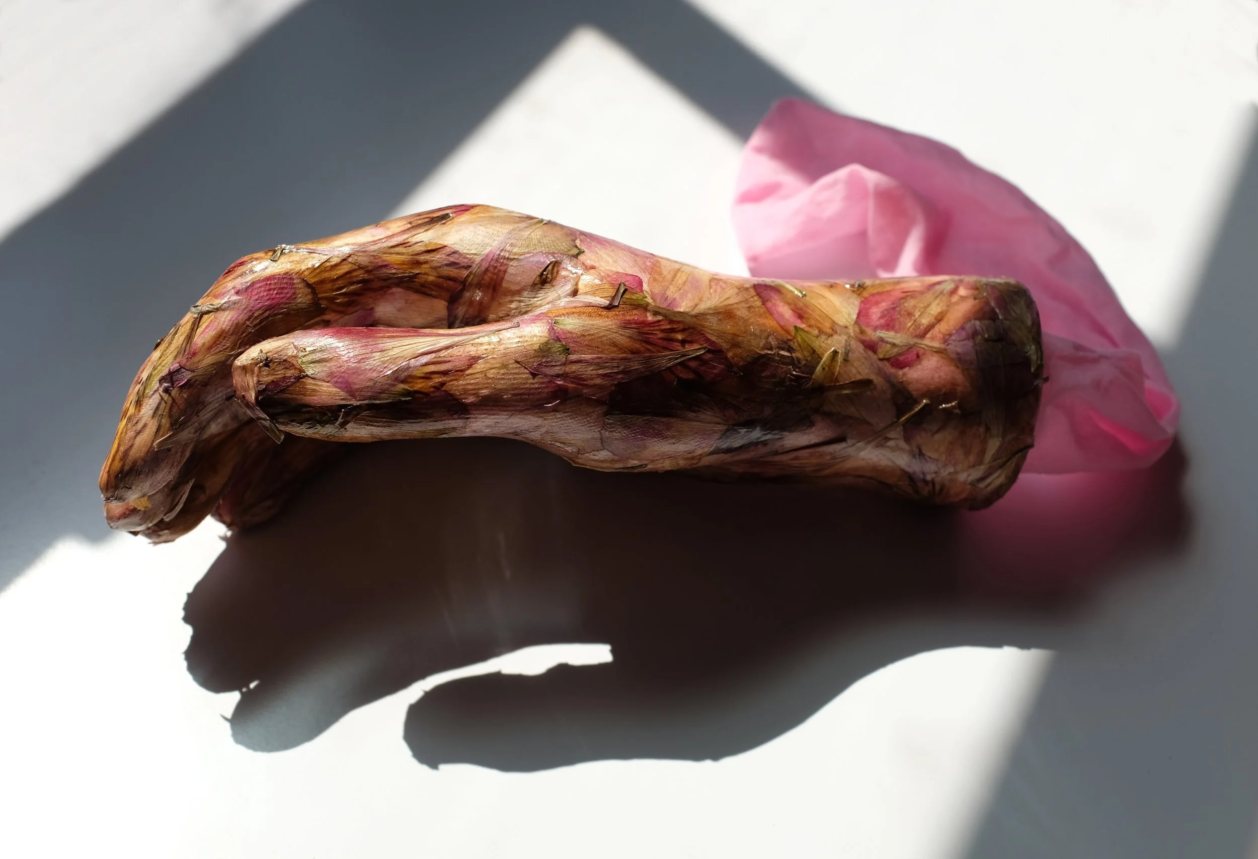 Indexed, mannequin hand, flower petals, pantyhose, H: 3.5" x W: 10" x D: 4", 2020