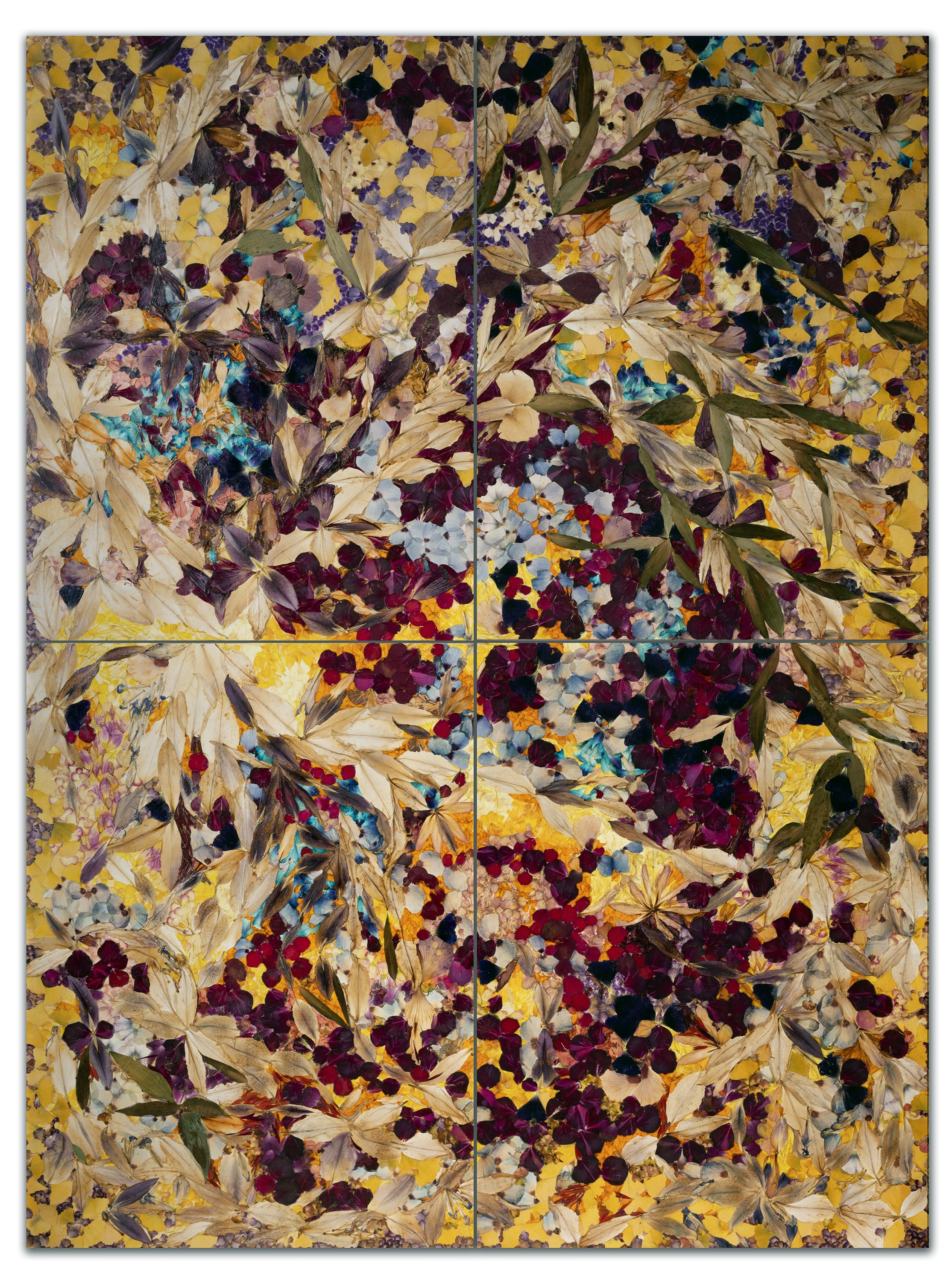 Valérie_Hallier_commission_3000.jpg