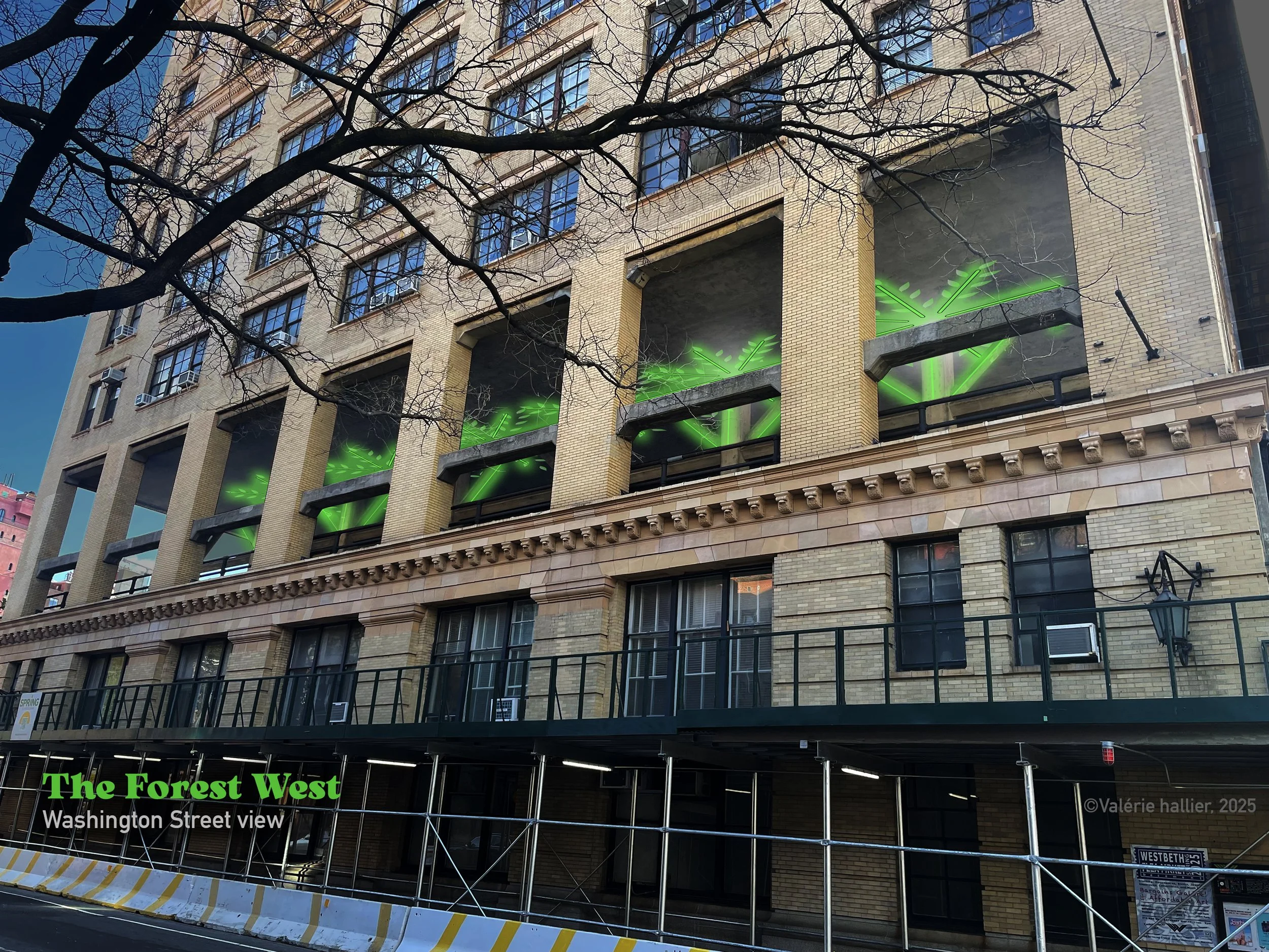 TheForestWes_ViewFromStreet.jpg