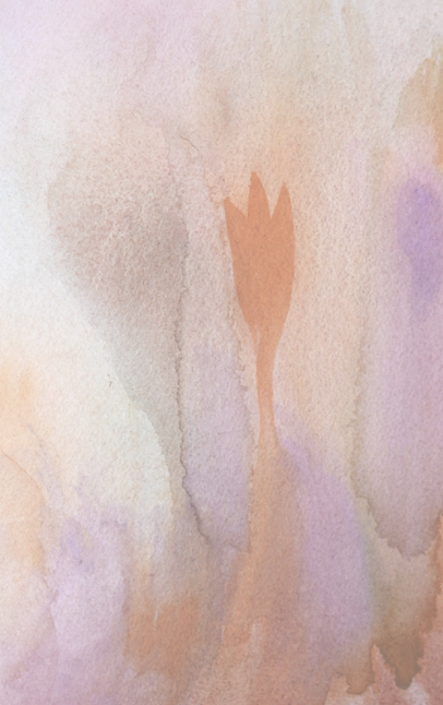 Screen Shot 2026-01-16 at 2.02.49 PM.png